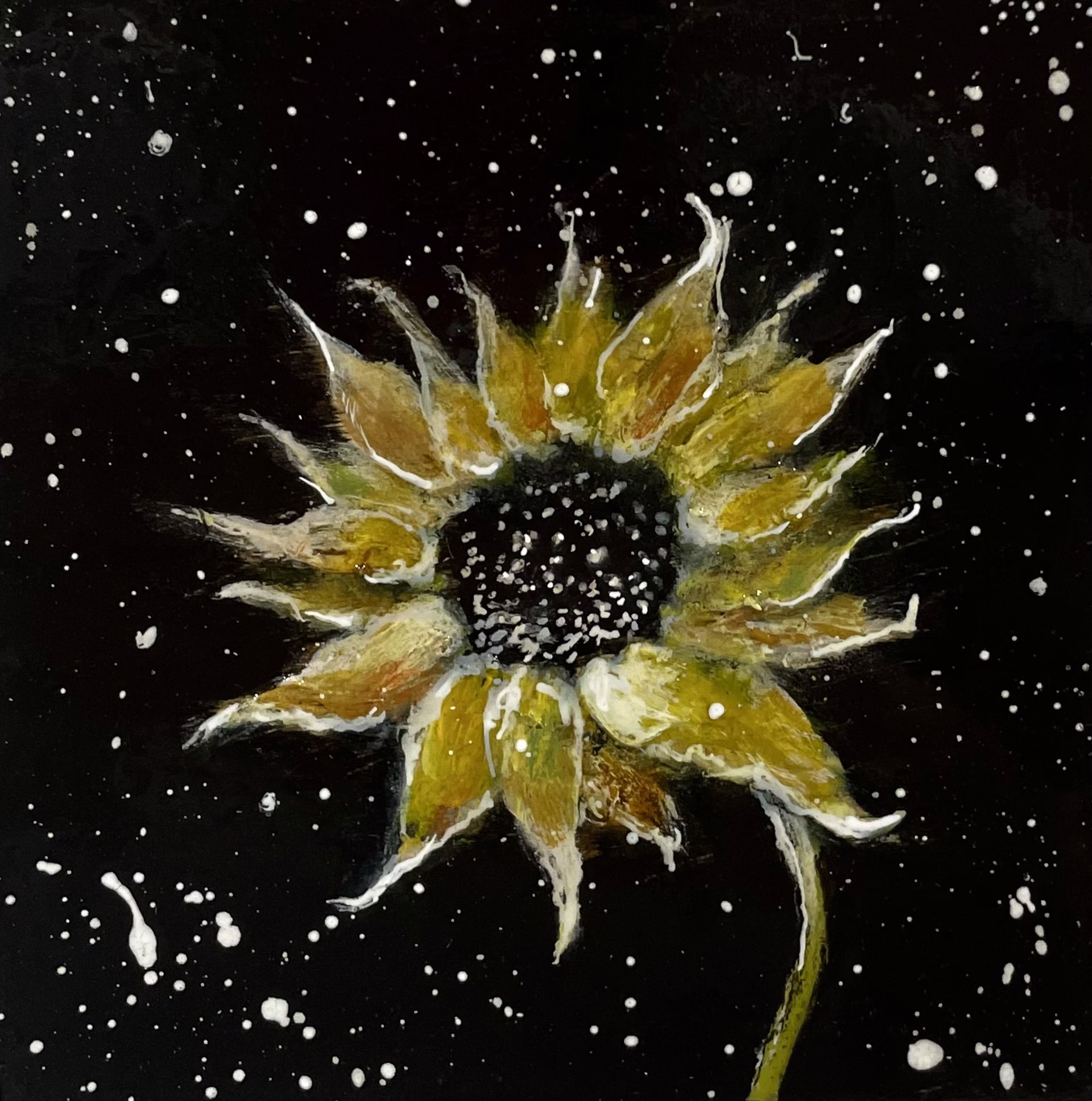 At Night She Blooms by Rachel Gardner