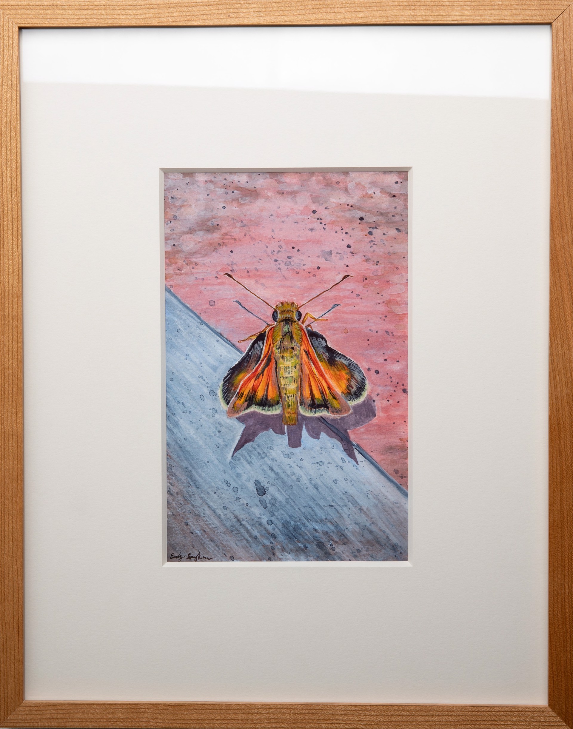 Tres Piedras Moth by Emily Spykman