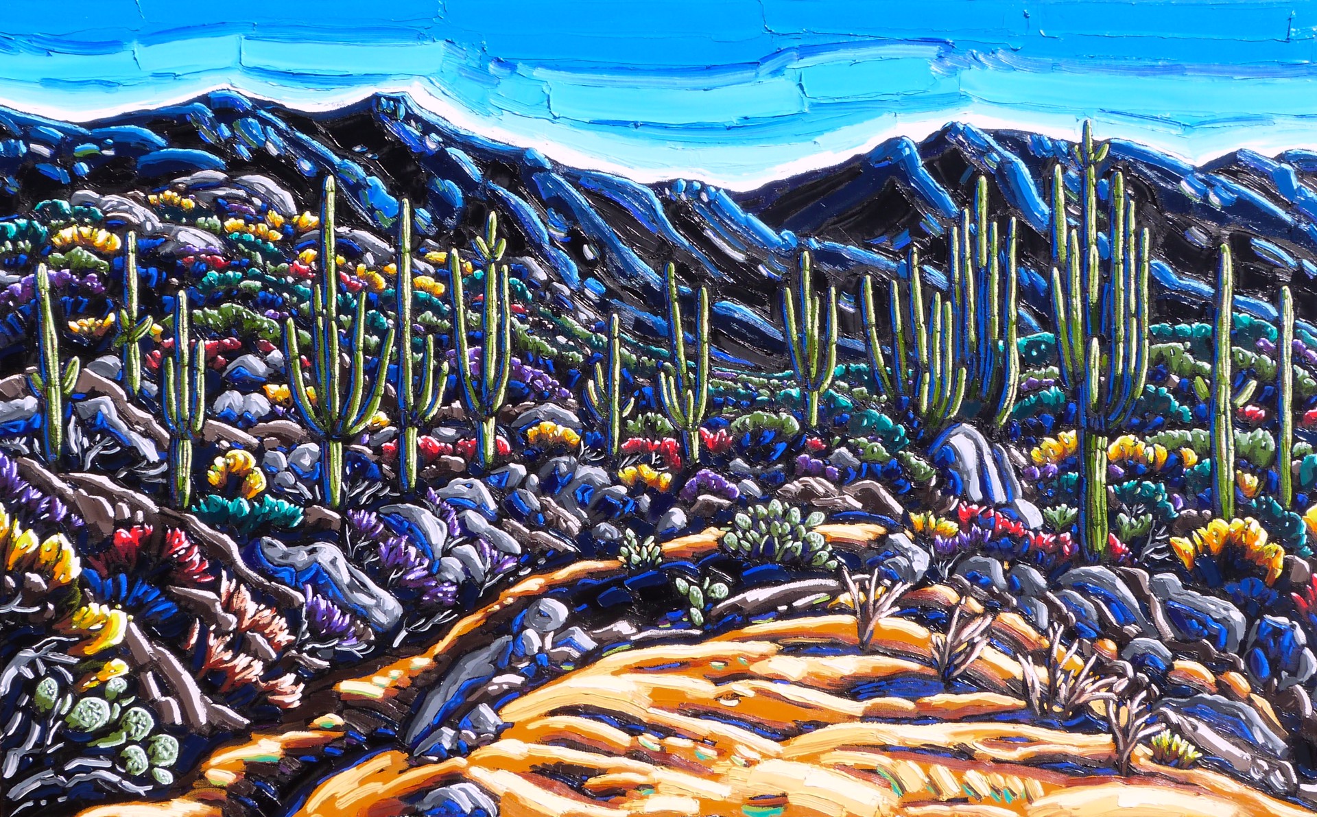Desert Tapestry by Neil Myers