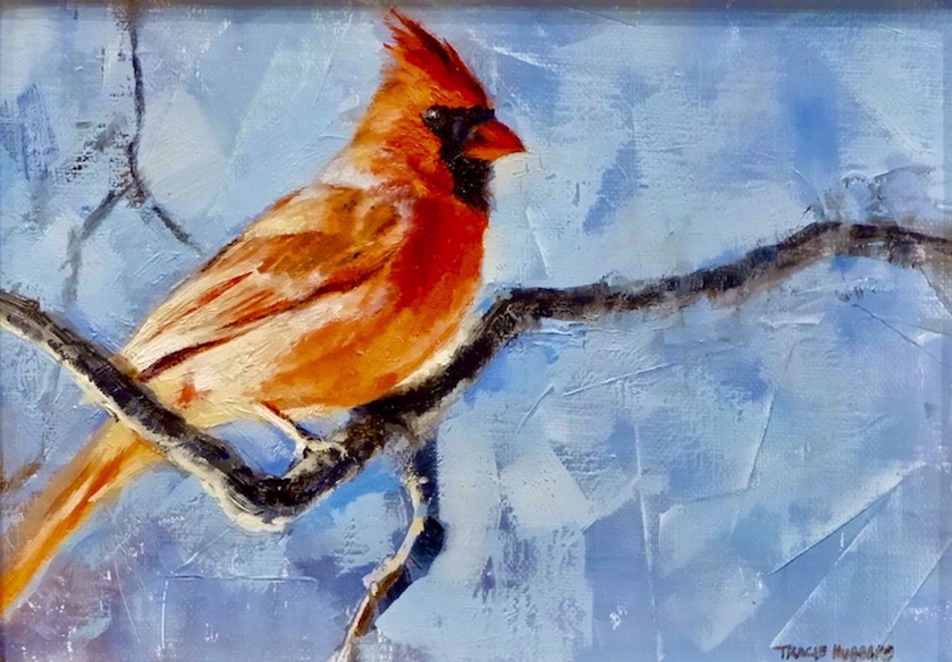 Cardinal by Tracie Hubbard