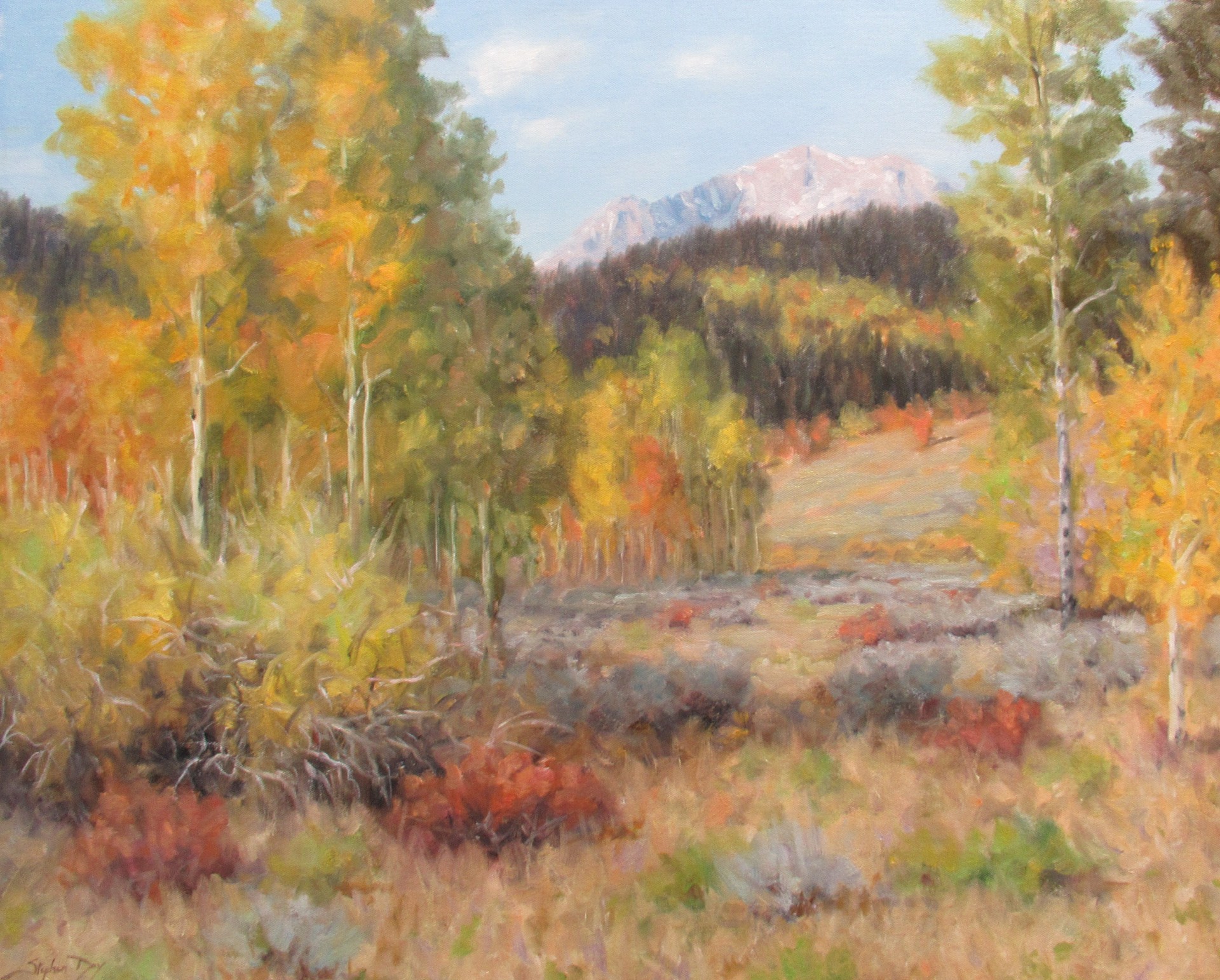Autumn Mood by Stephen Day