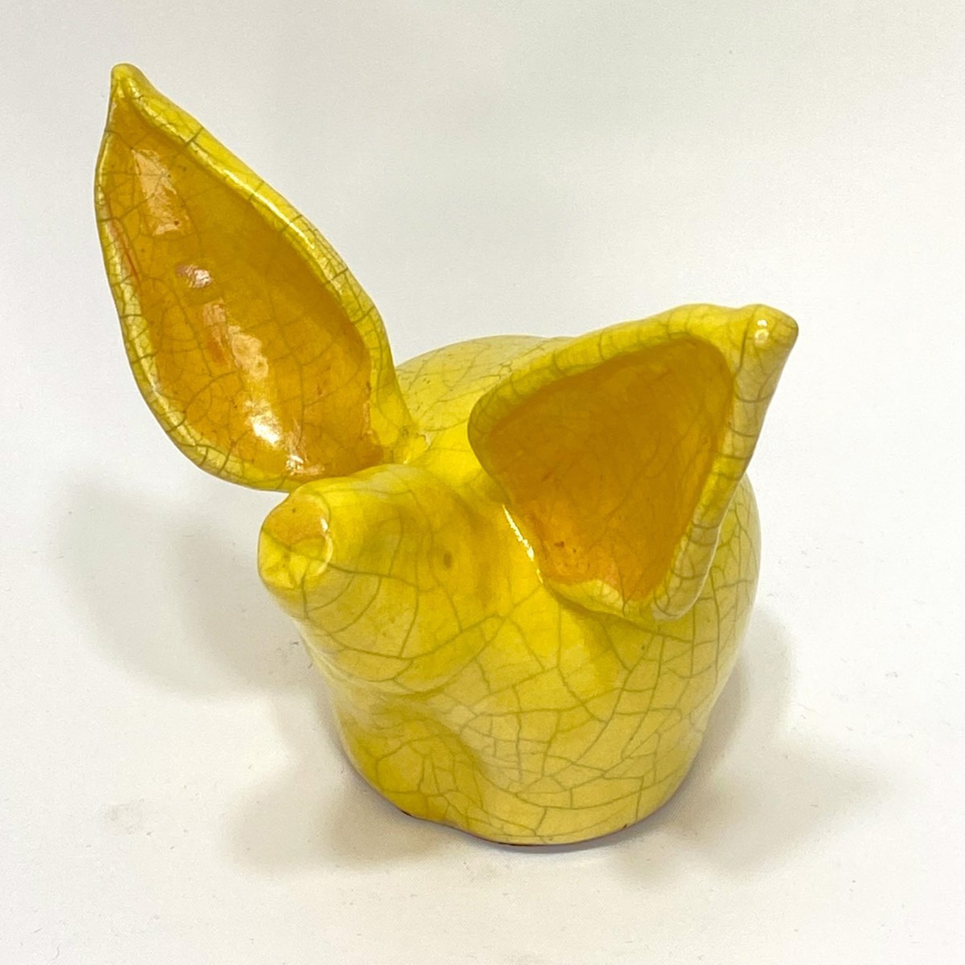 Daffodil by Sue Morse