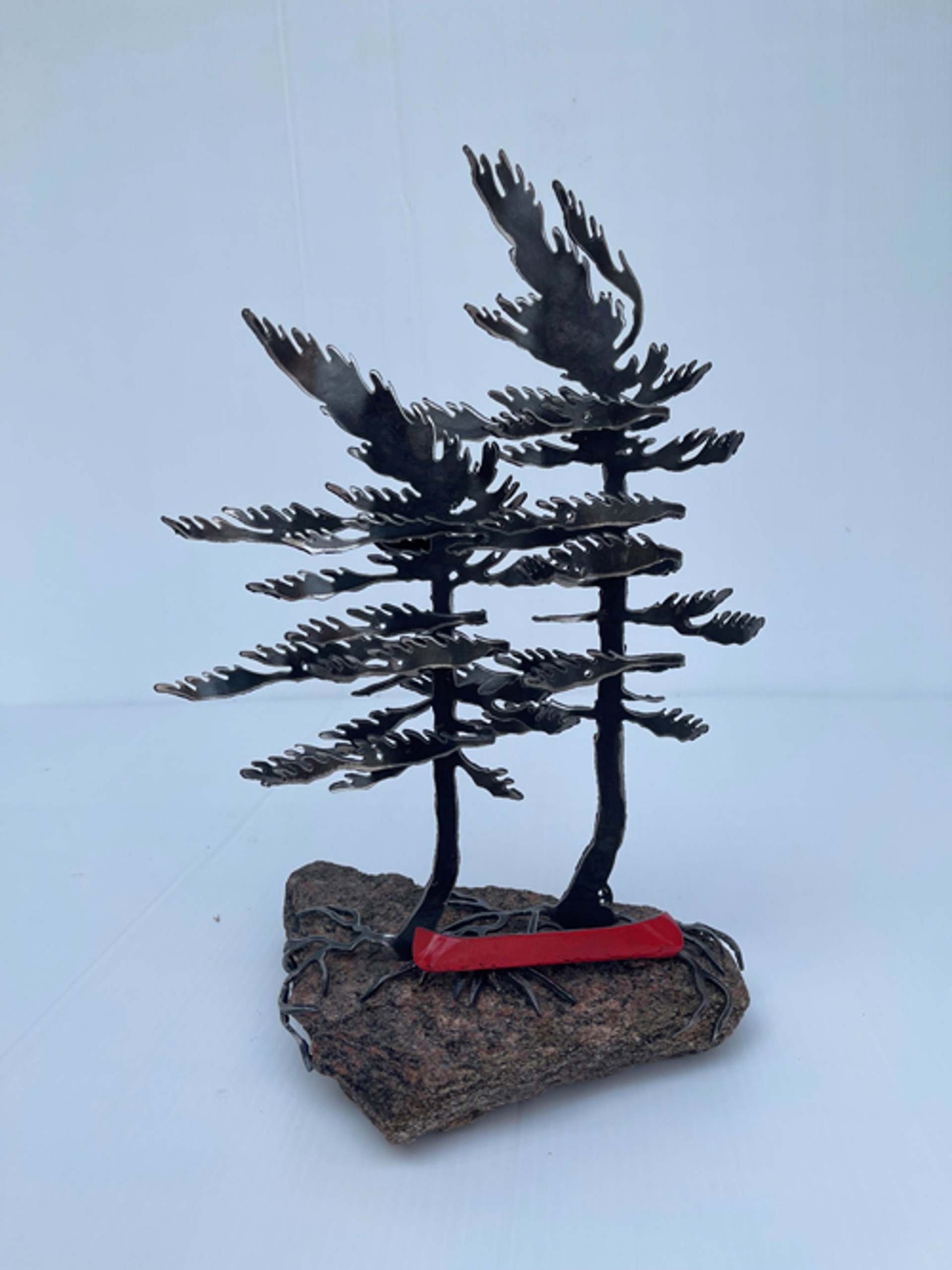 Two Tree Red Canoe on Rock by Cathy Mark