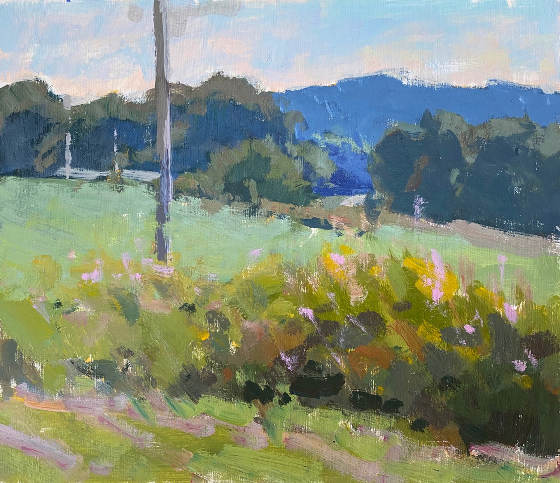 Hills & Valley by Anne Blair Brown, AISM