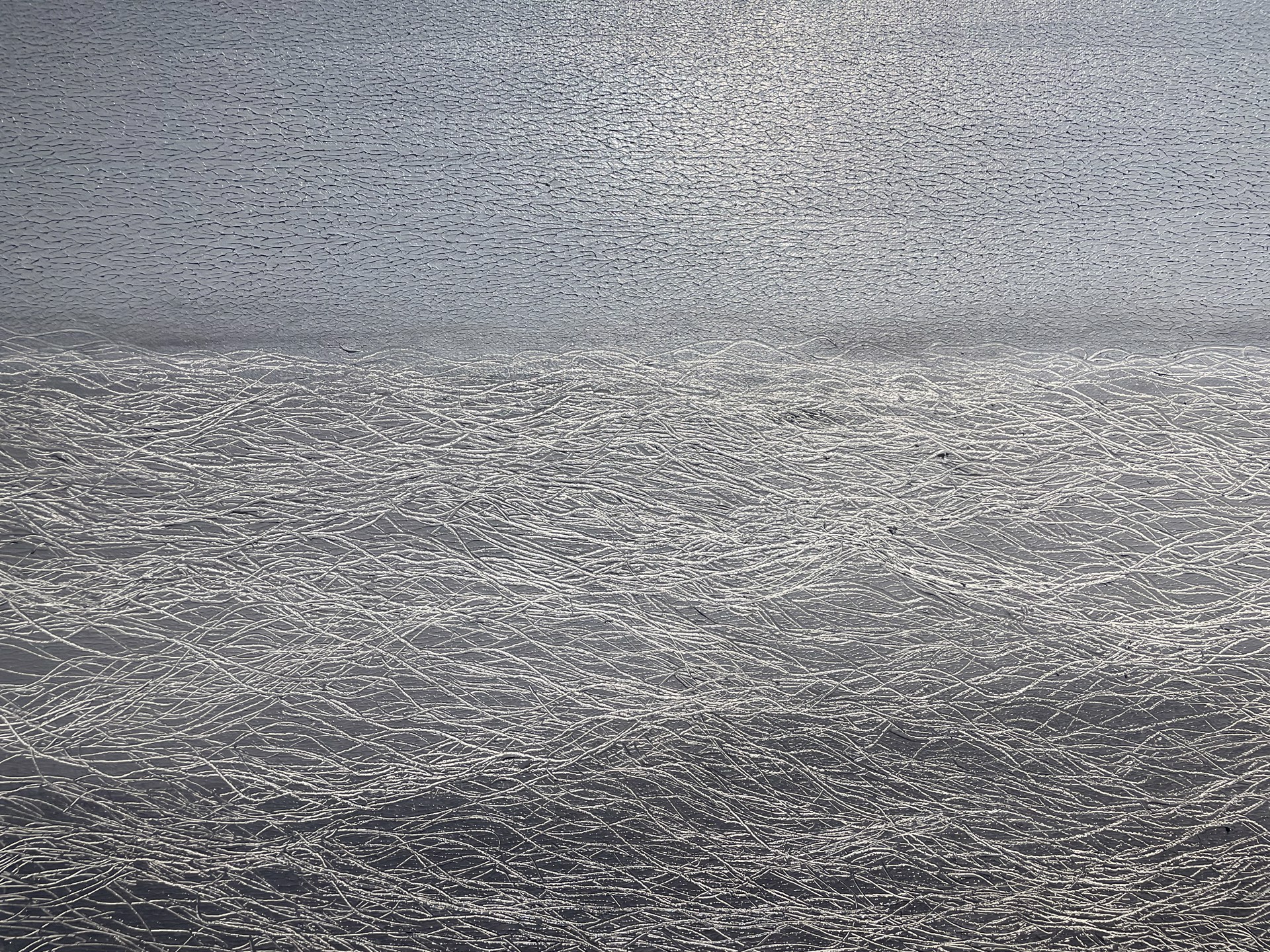 Silver Moon Light 7 by Leigh Wen
