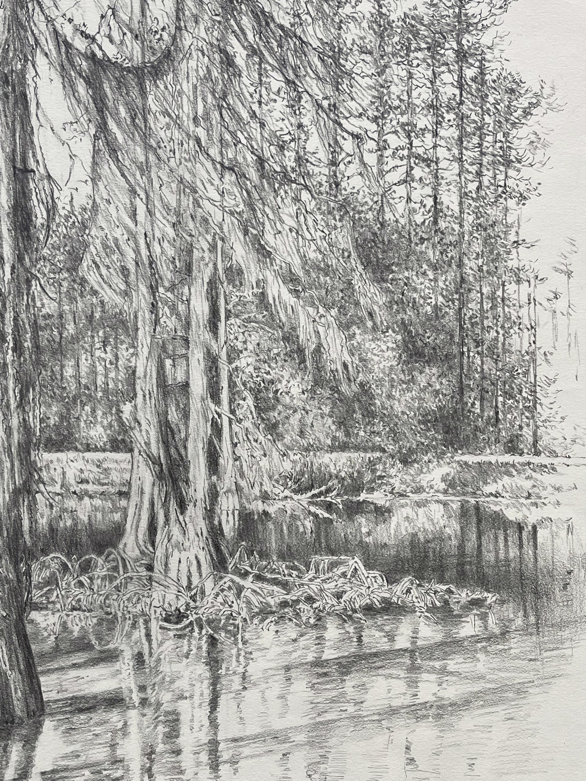 Swamp Trees by Shirley Rabe' Masinter