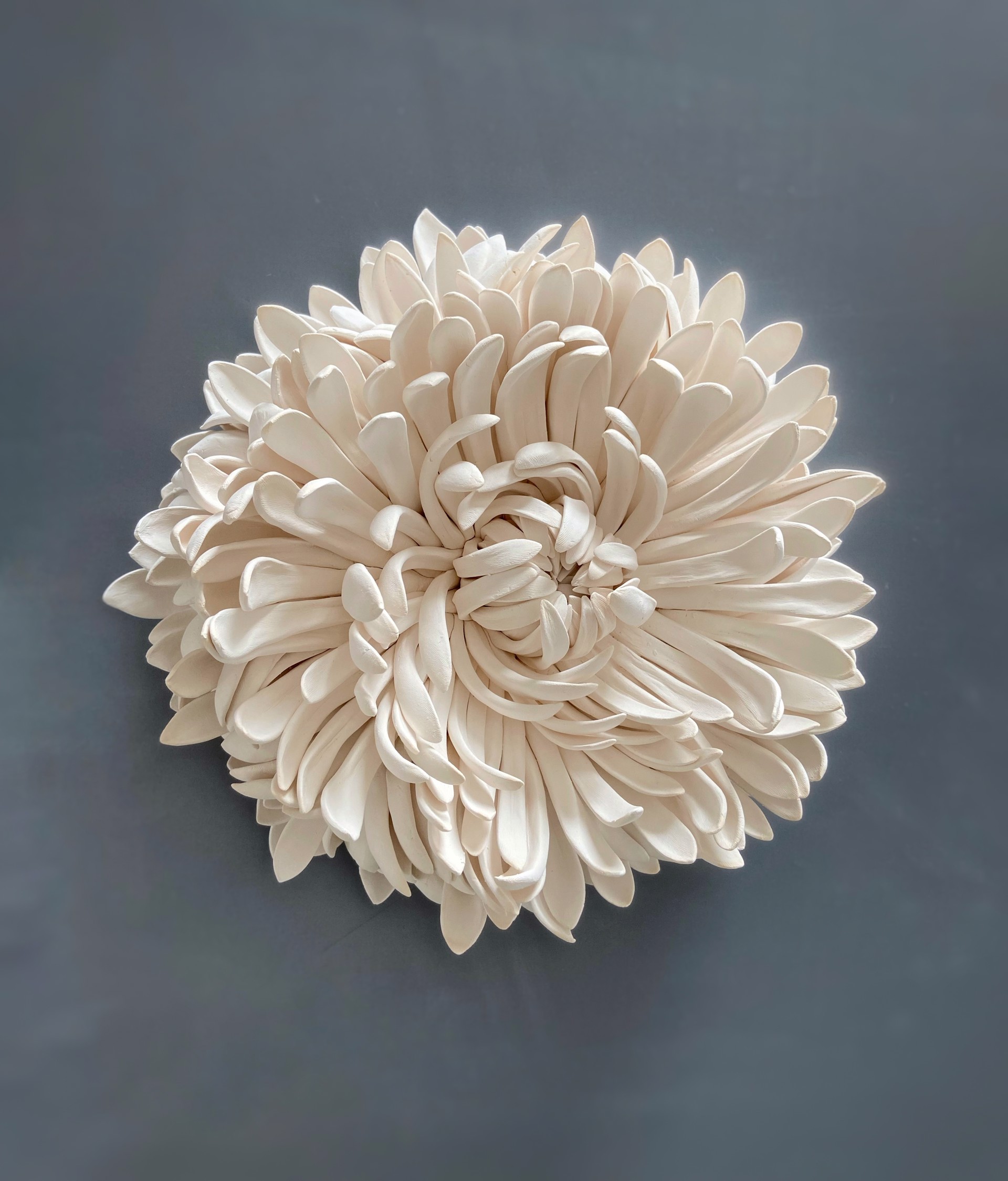 White Chrysanthemum by Owen Mann
