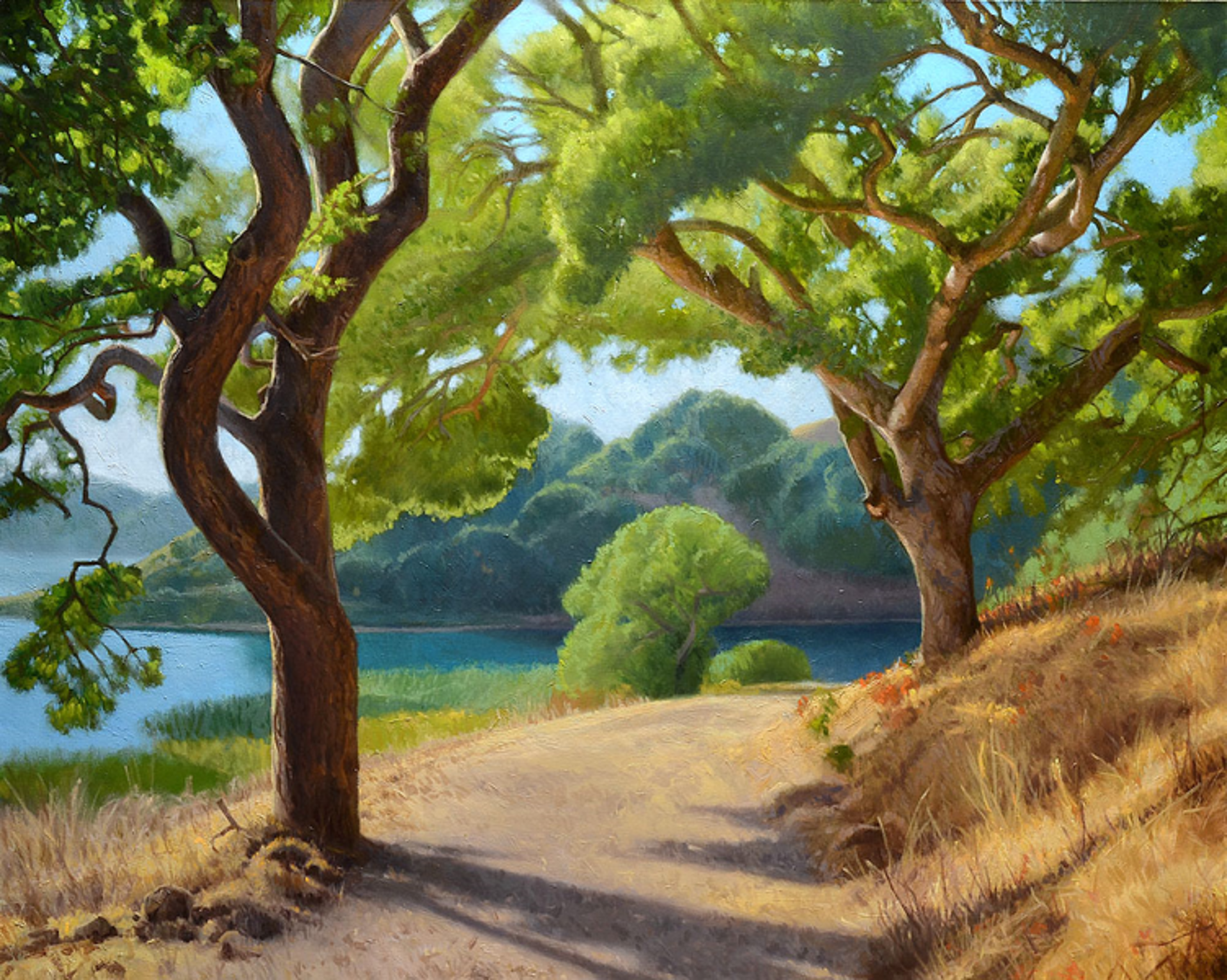 Oak Trees and Afternoon Light by Ocean Quigley