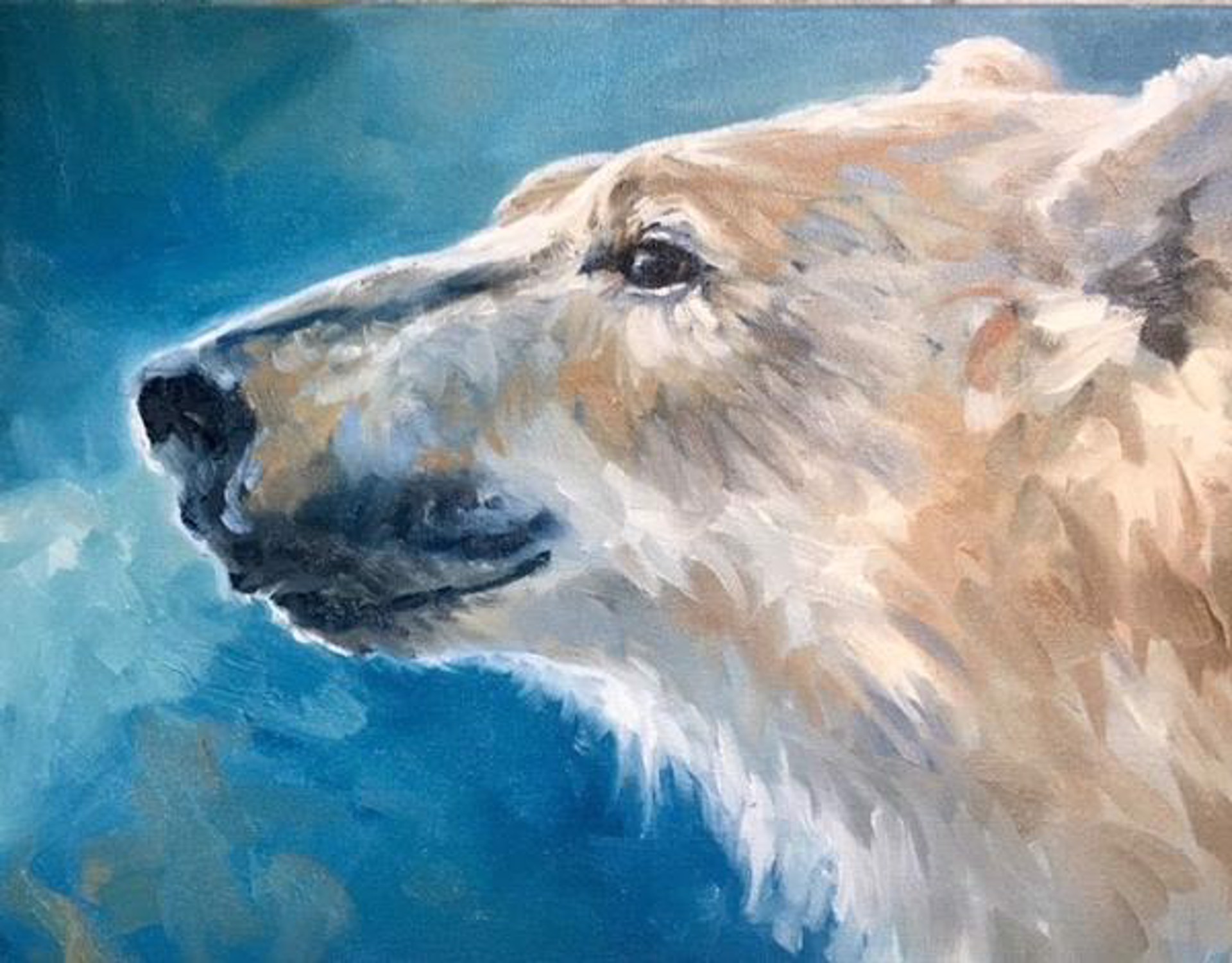 Young Polar Bear by KINDRIE GROVE