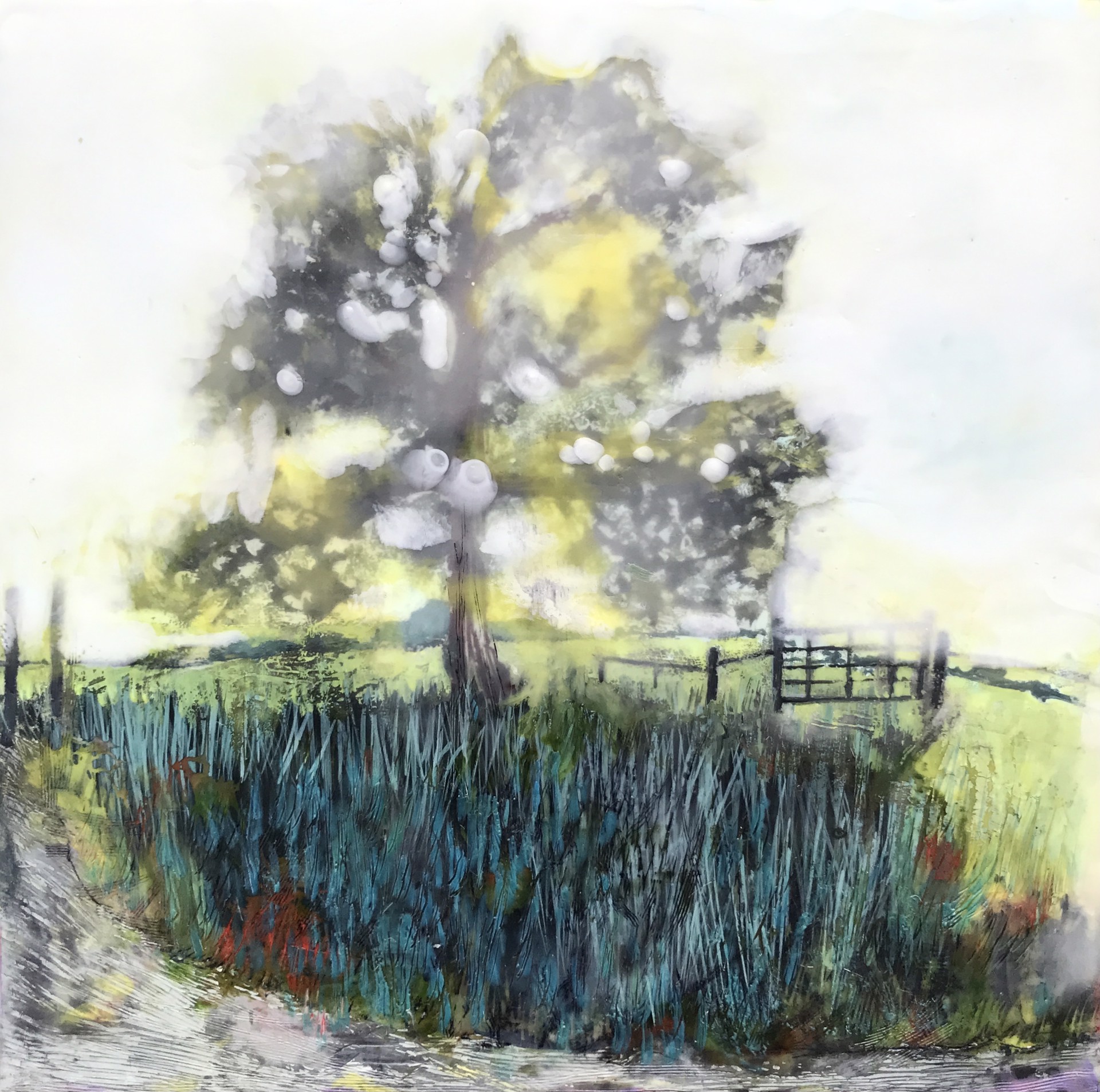 Oak (White Rock Conservancy) by Barbara Walton