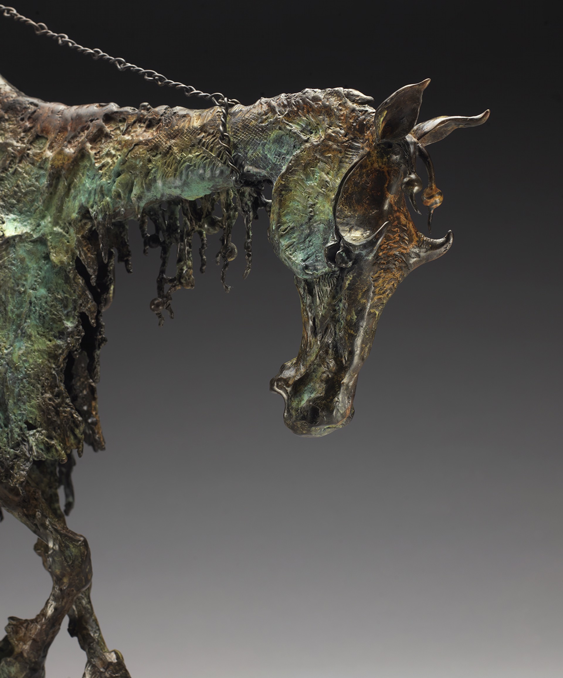 Gypsy Caravan Horse by David Crawford