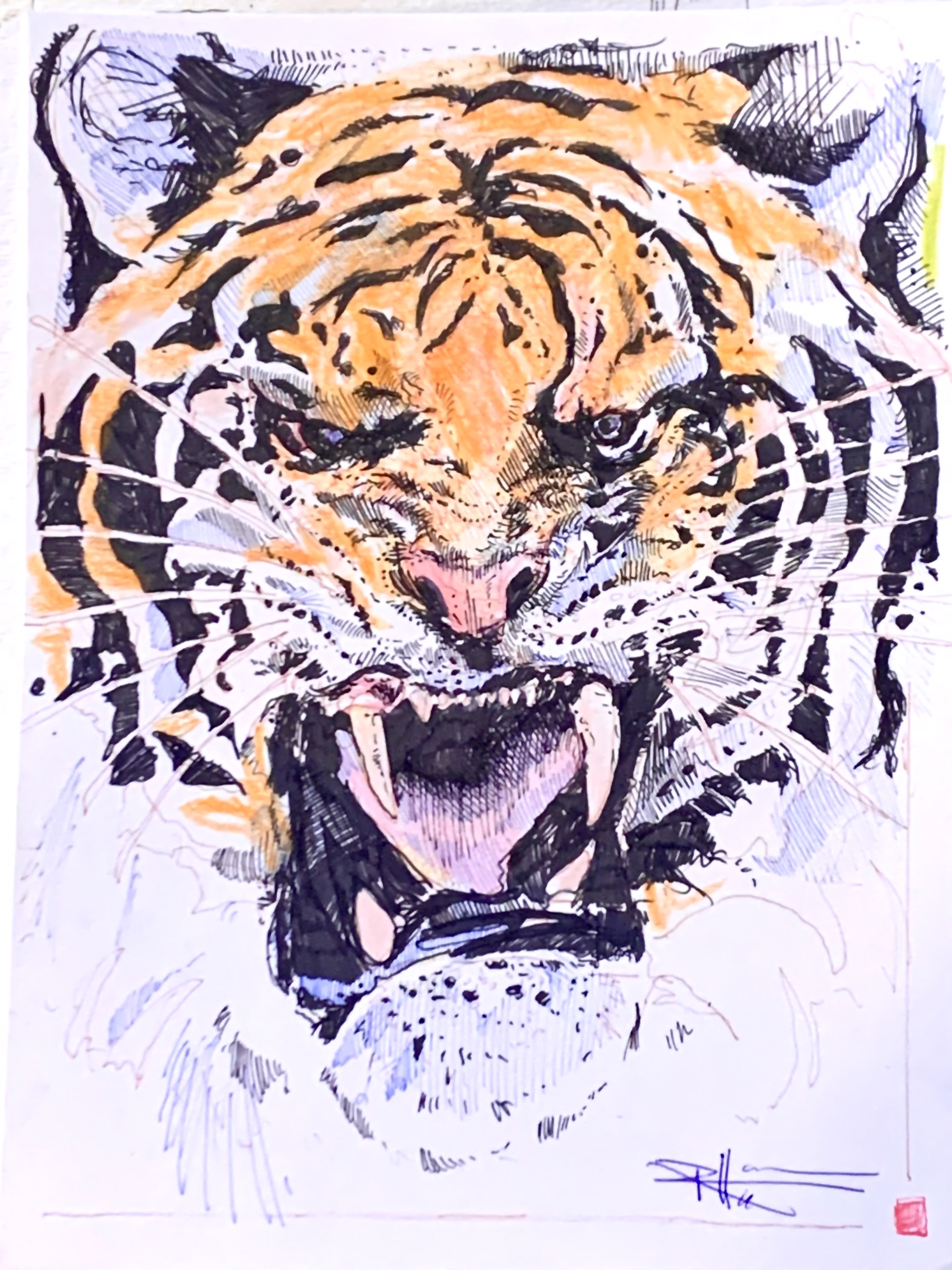 Tiger by Rex Hausmann