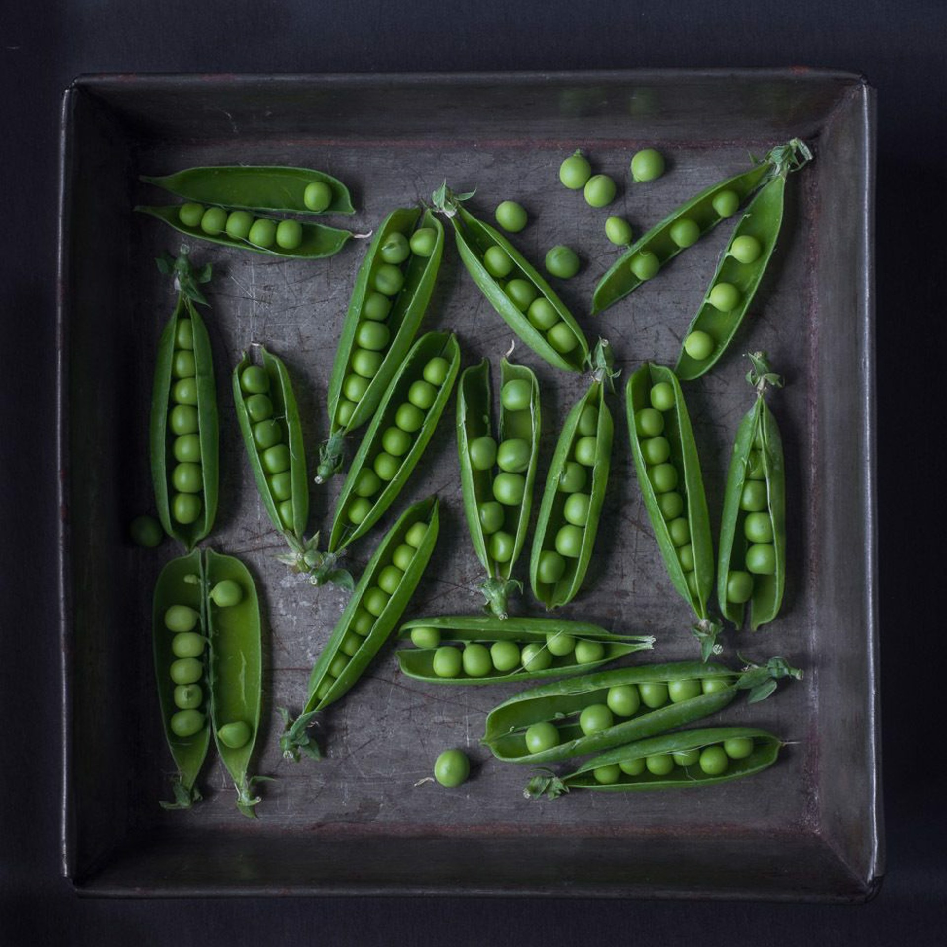 Shell Peas by Lynn Karlin