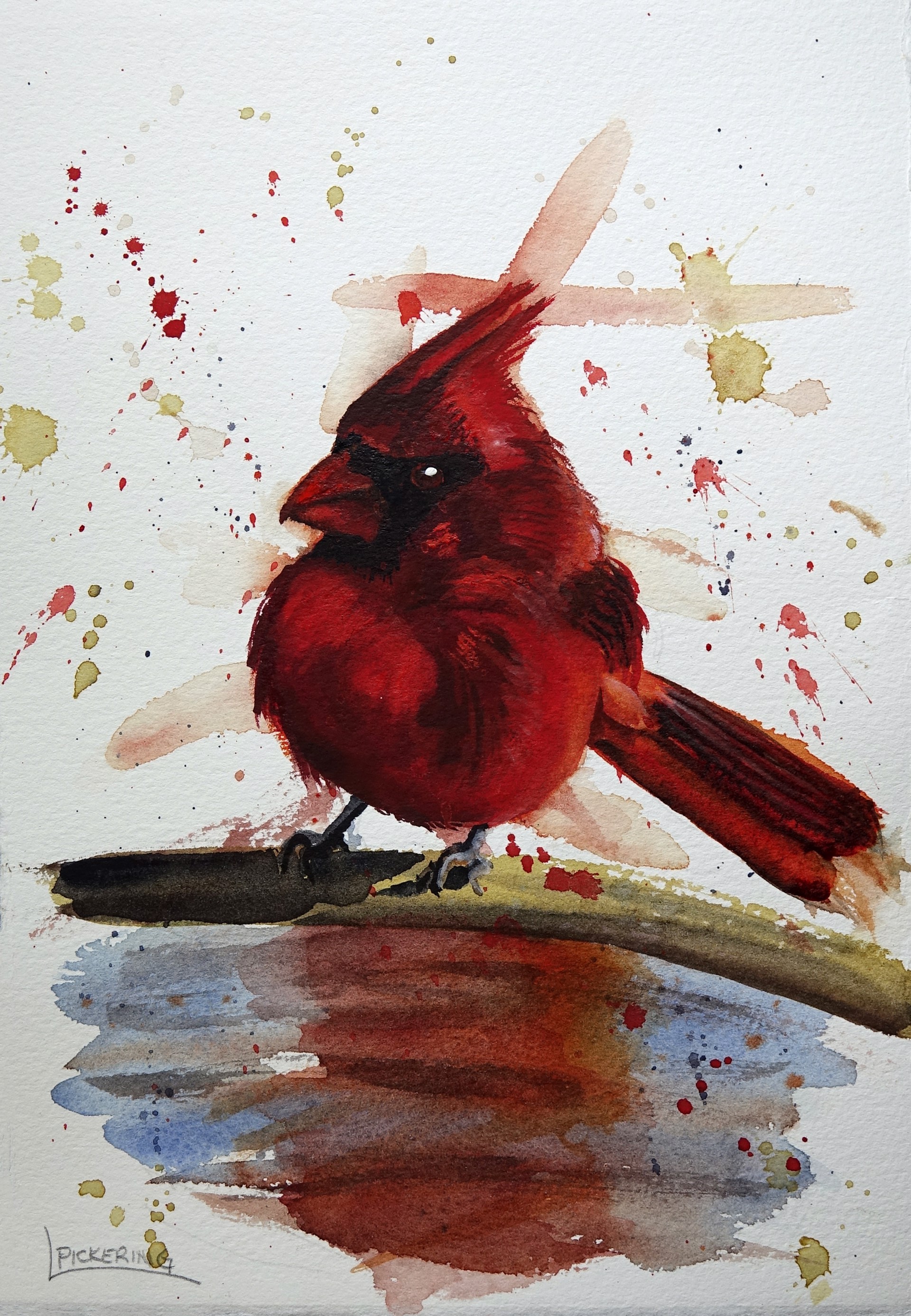 Cardinal Bath by Laura Pickering