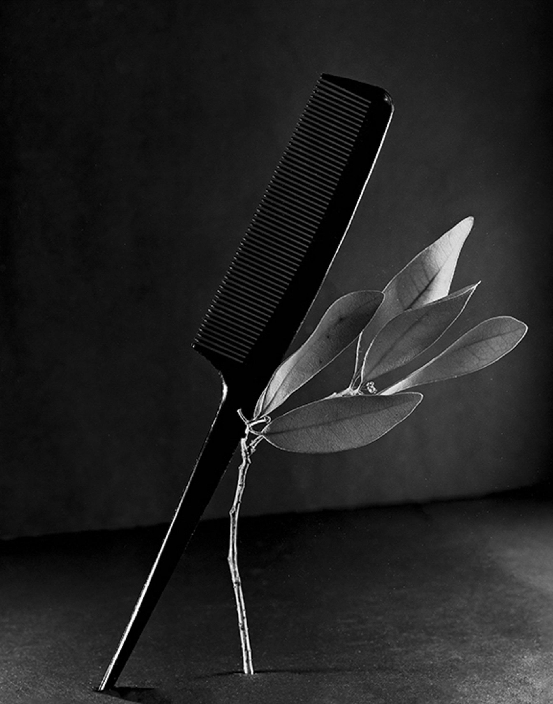 Maintaining Balance II by Kyla Rys