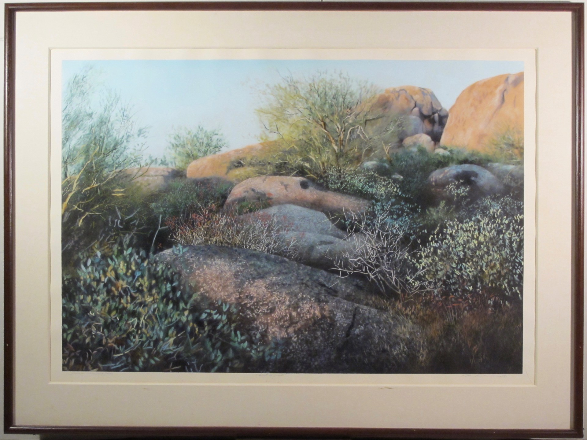 Sonoran Watercolor Series by David T Kessler