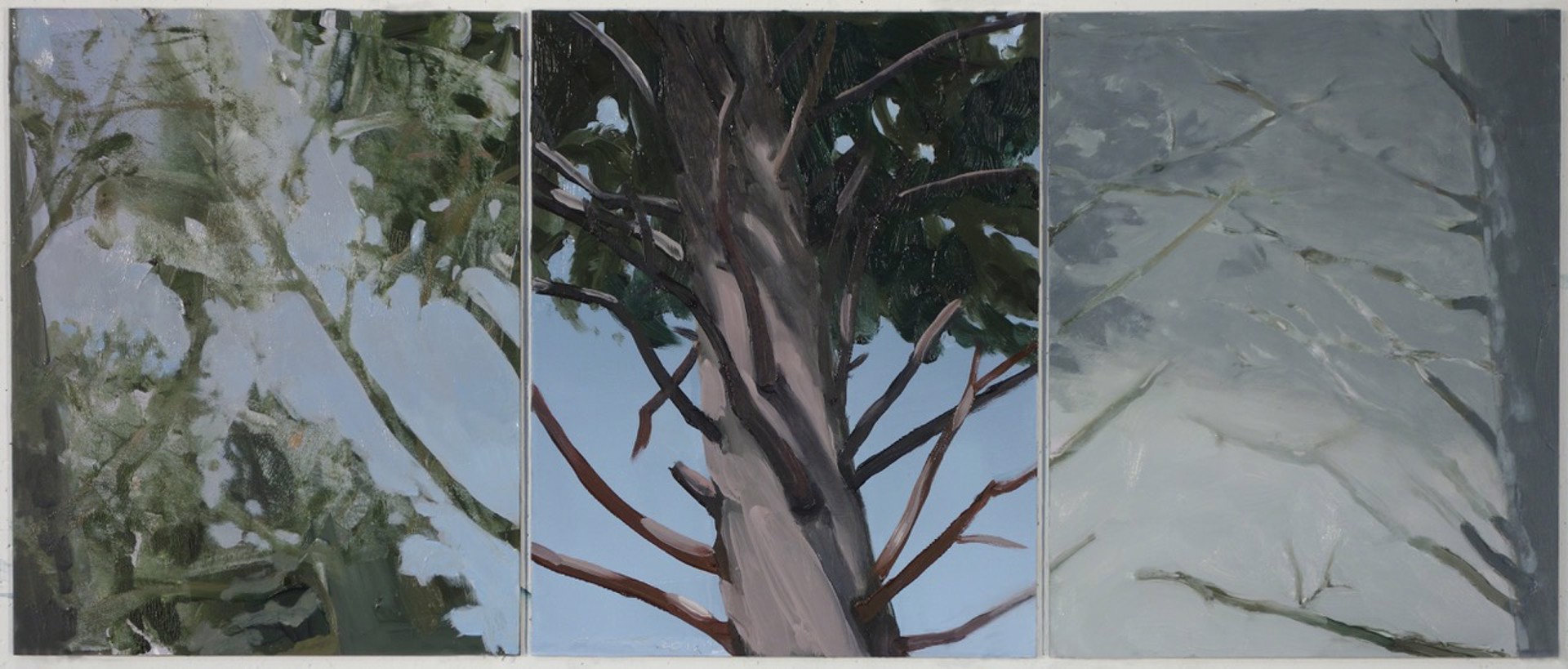 Spruce Triptych by Joel Janowitz