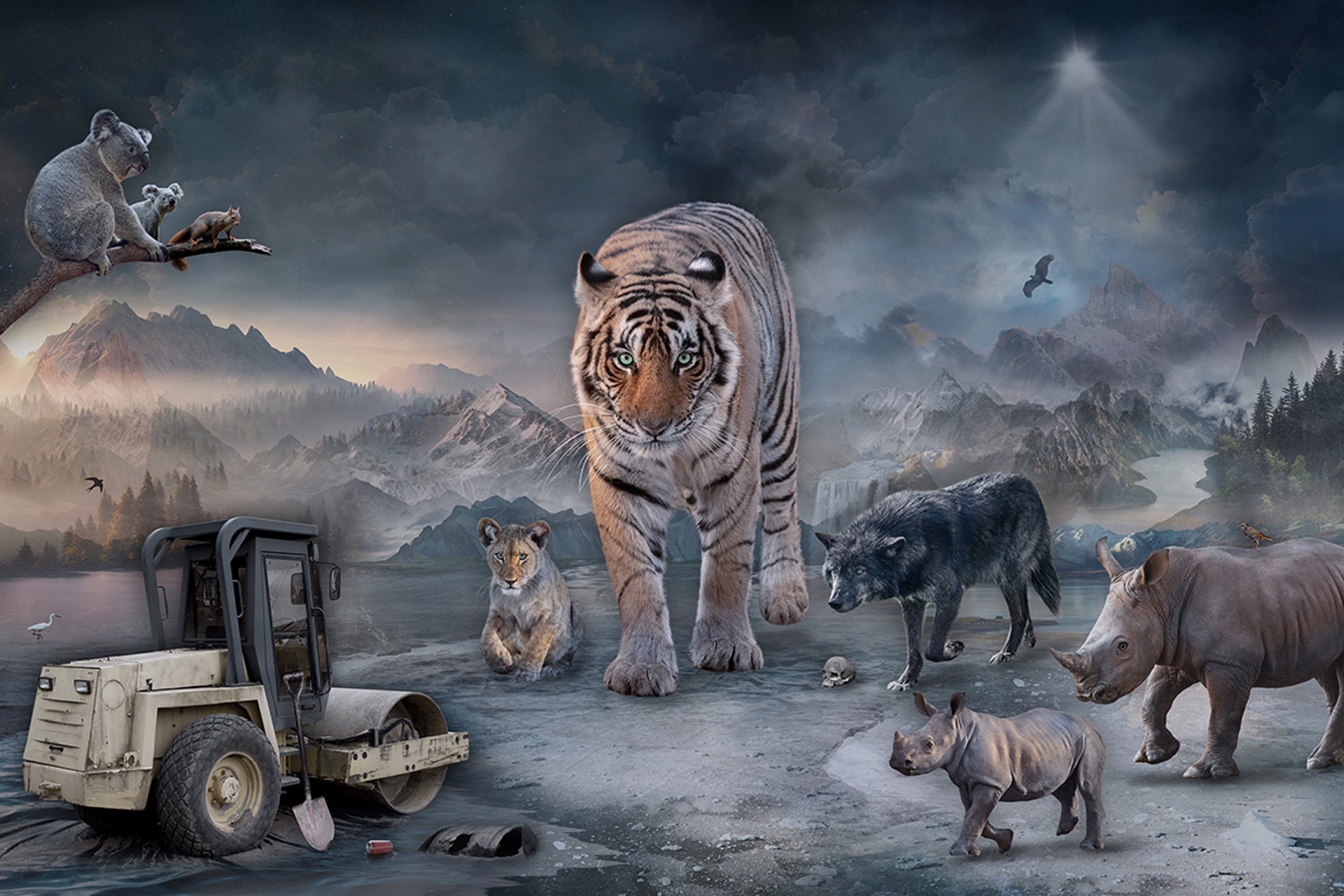 Protect What You Love by Marcin Owczarek
