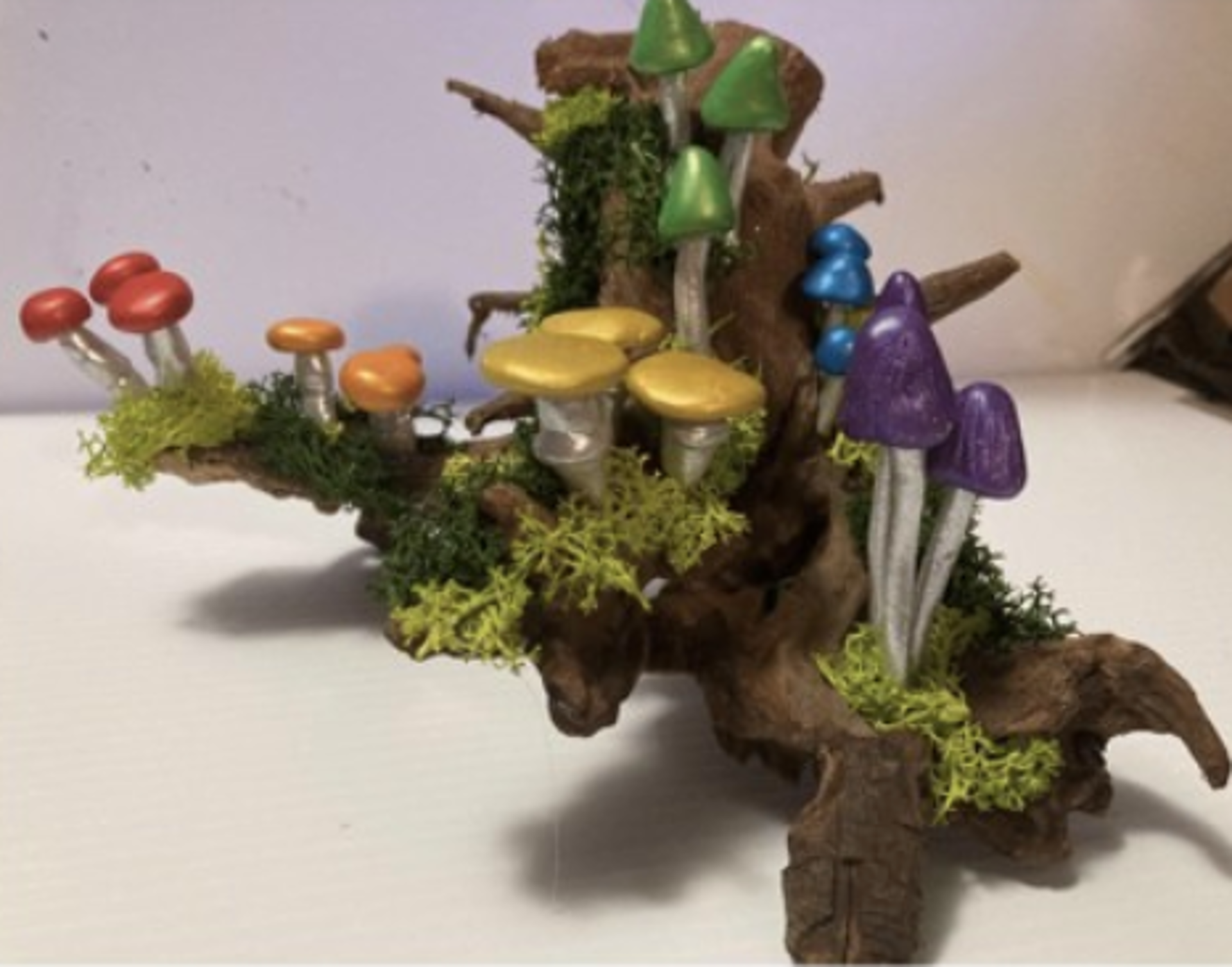 Rainbow Fungi Phenomenon by Tara Sue Salusso