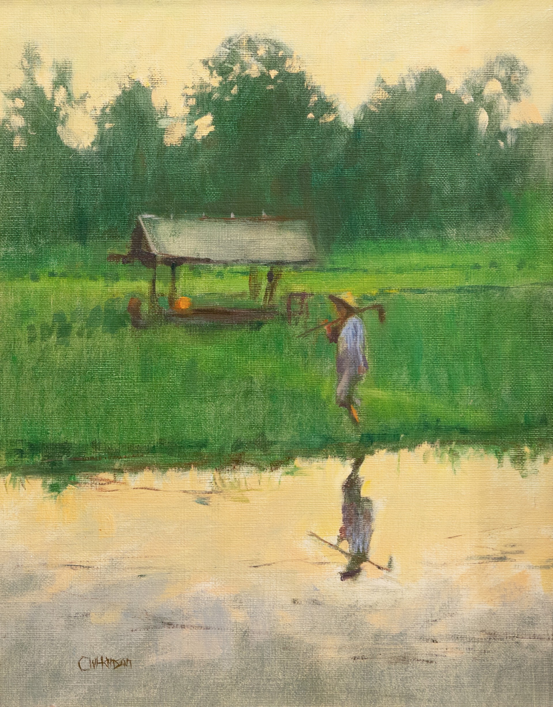 Rice Farmer by Curt Hanson