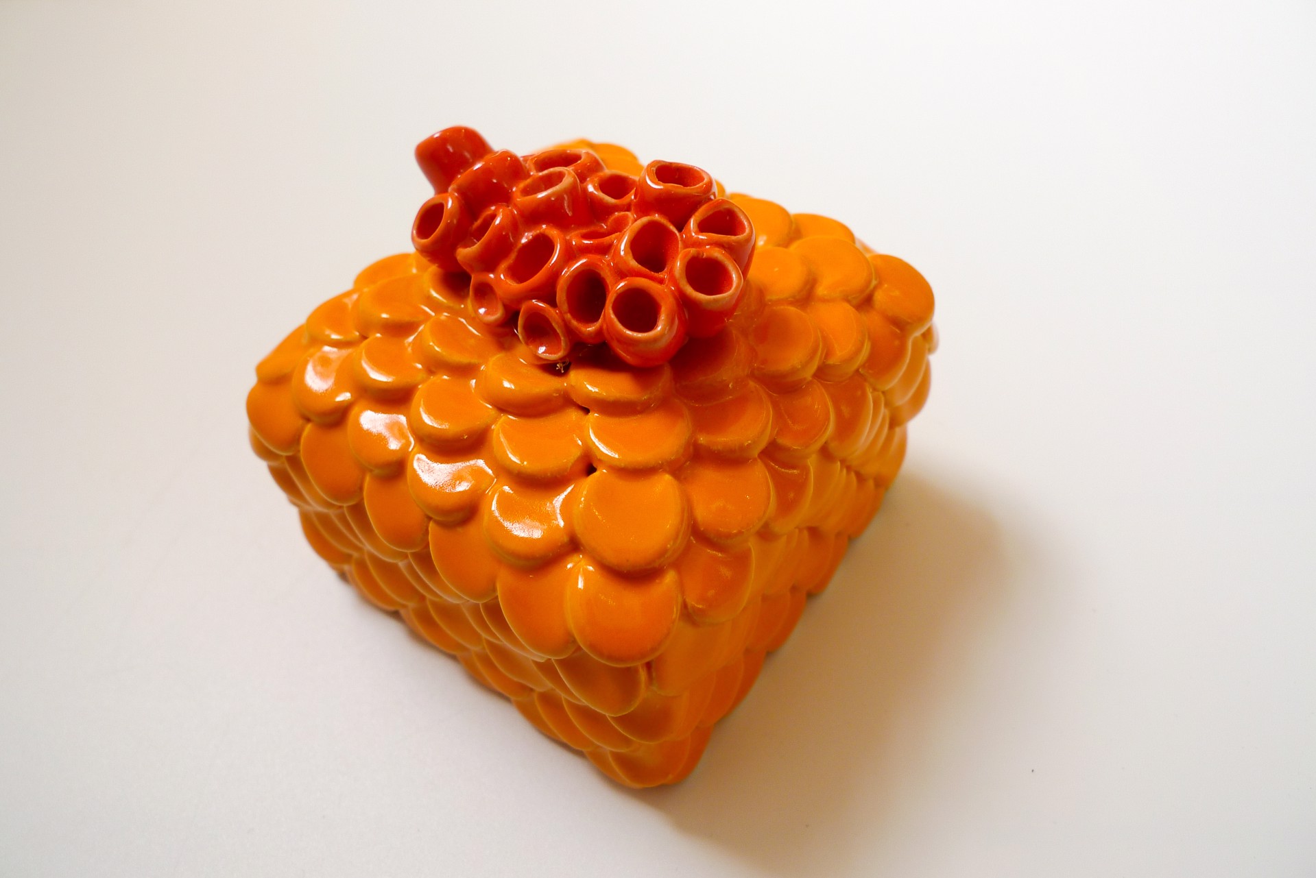 Orange Disc and Barnacles Wall Box by Rachelle Miller