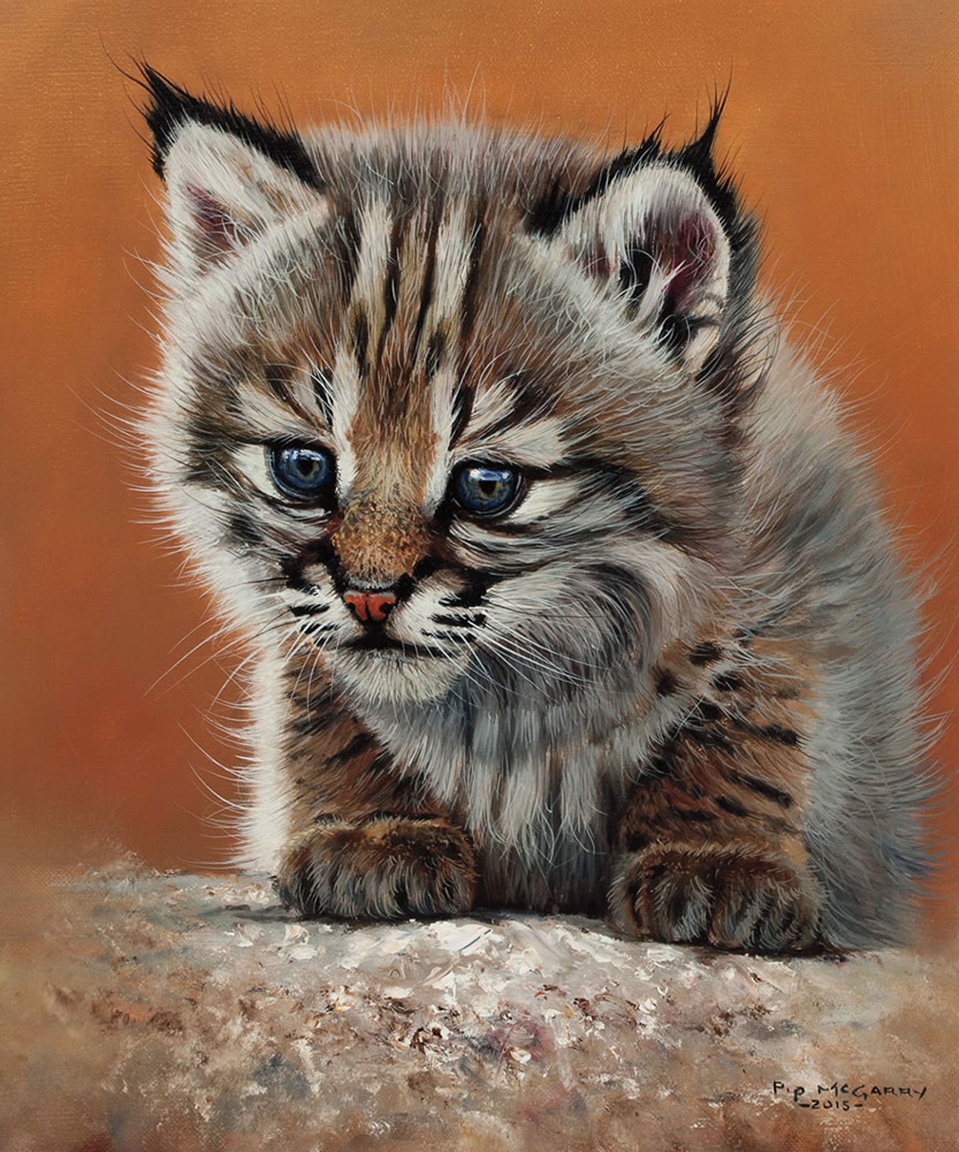 Bobcat Baby by Pip McGarry