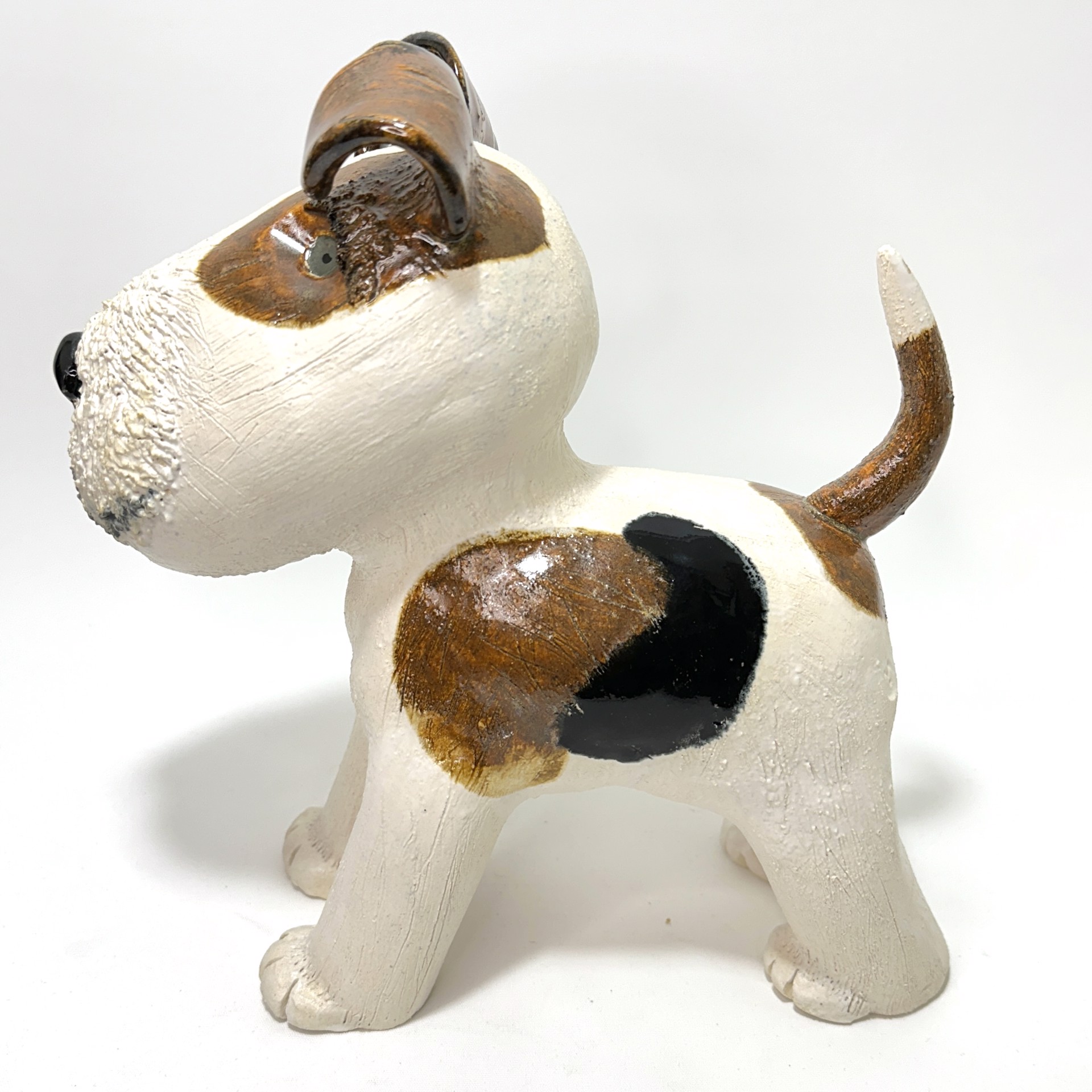 Fox Terrier Study 1 by Sue Morse