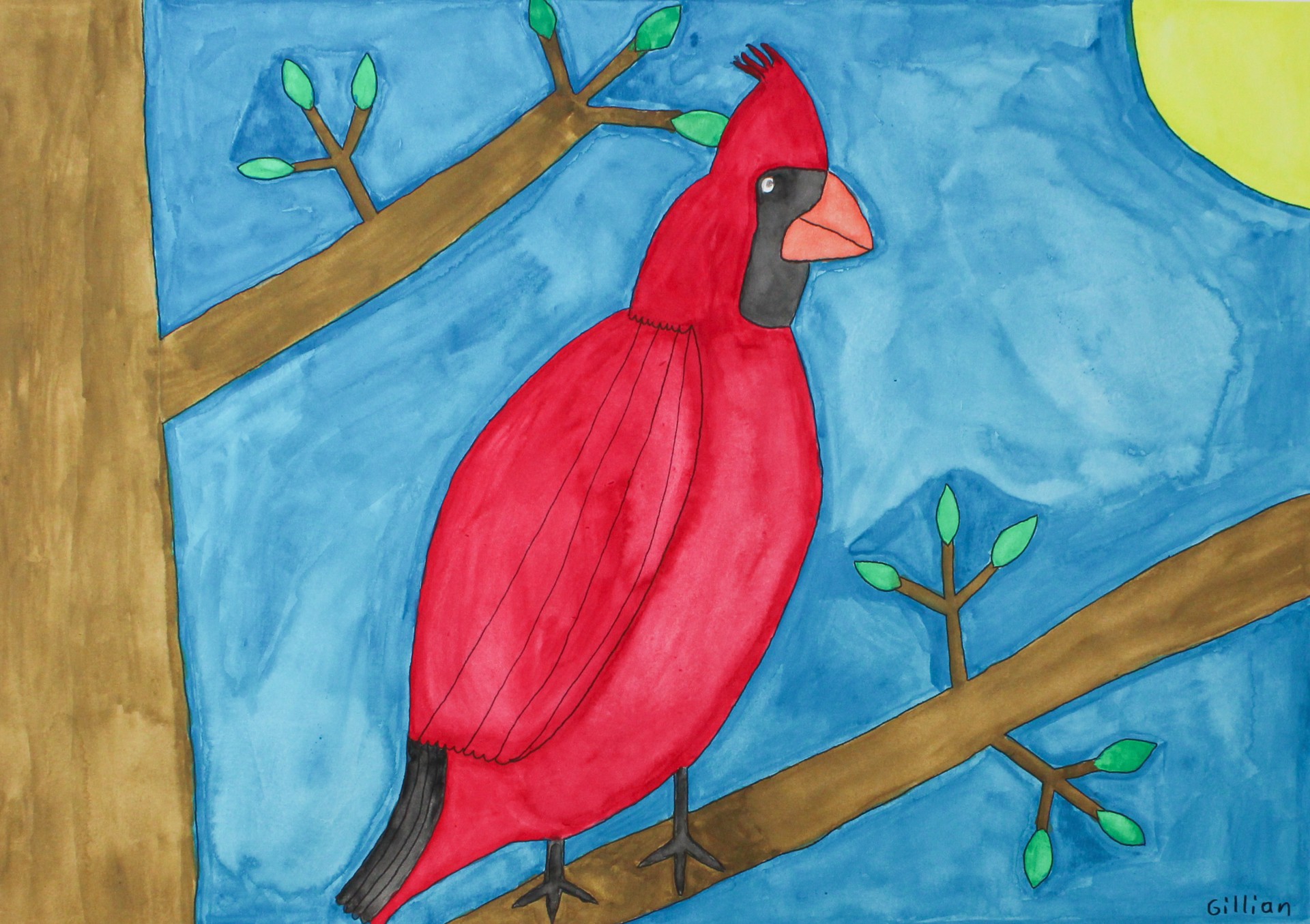 Cardinal on Branch by Gillian Patterson