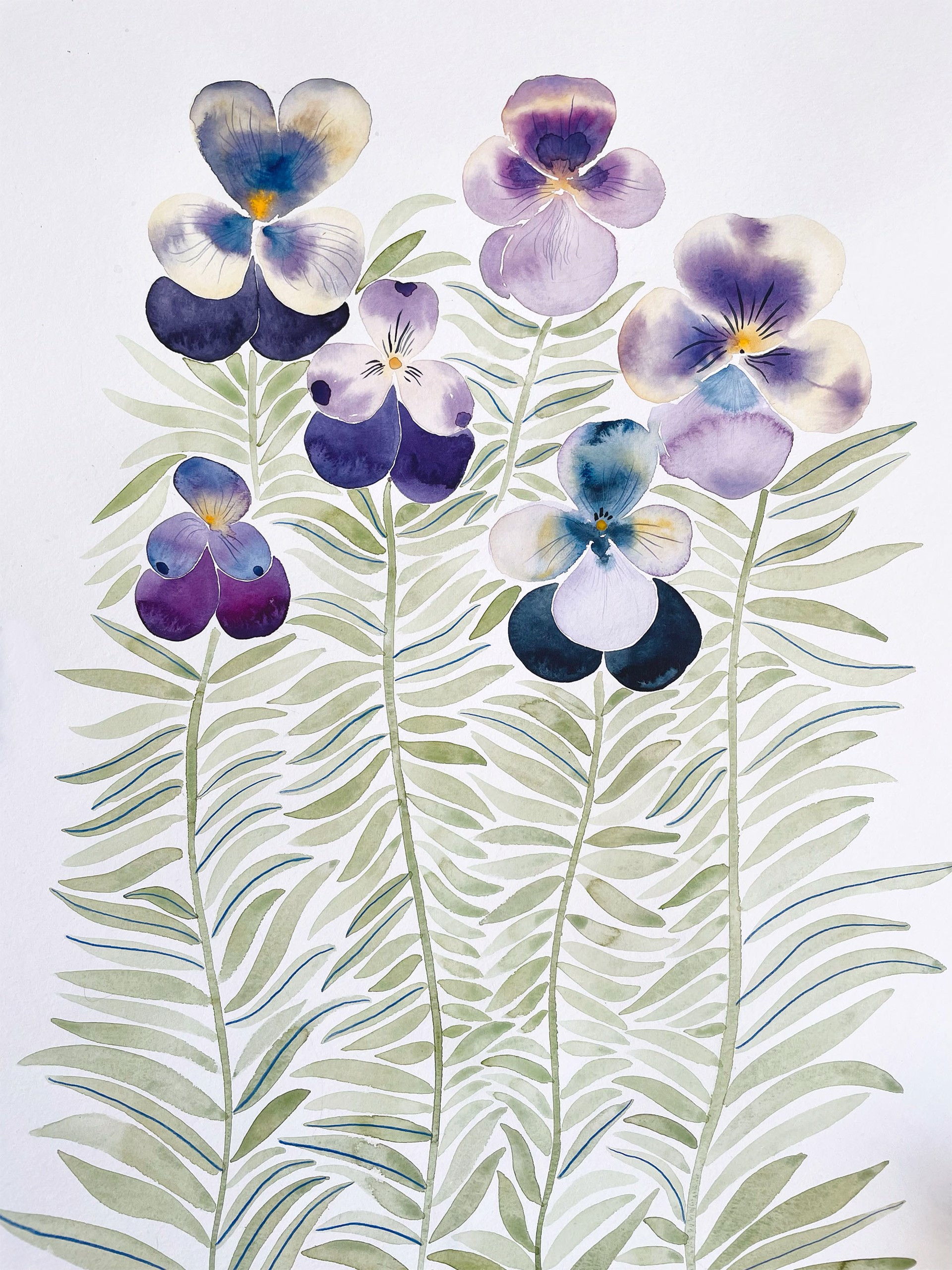 Lilliac Pansies by Anine Cecilie Iversen