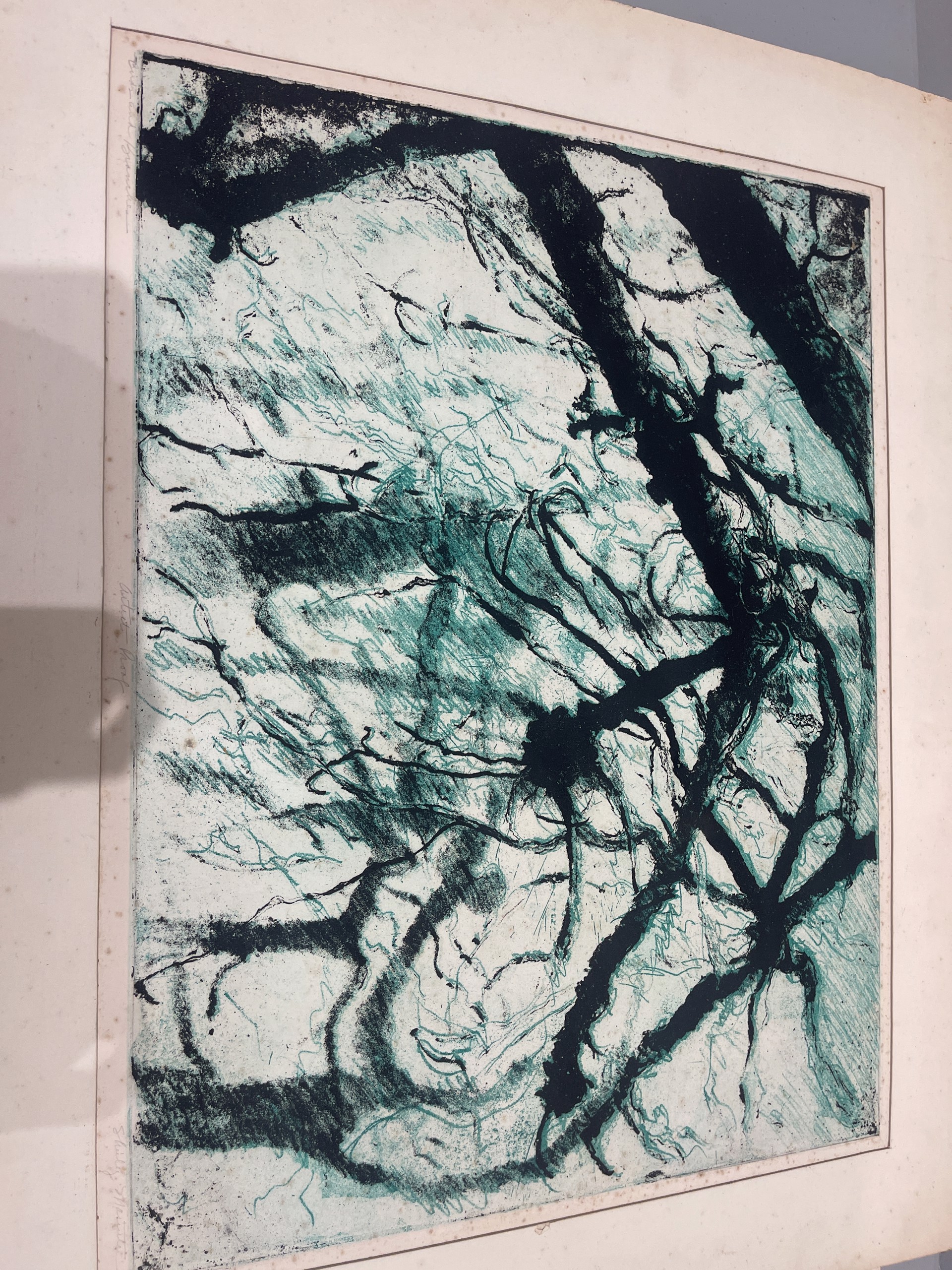Birds and Branches (Artist's Proof) by Shirley Rabe' Masinter