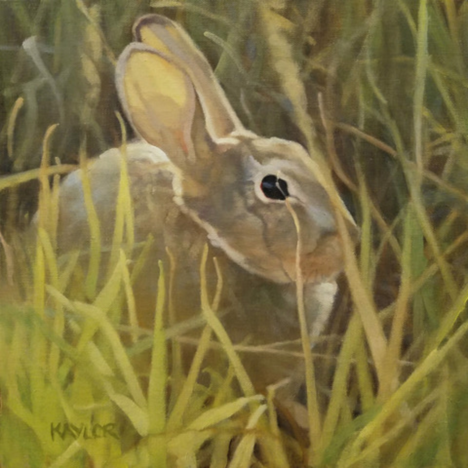 In Tall Grass by Deb Kaylor