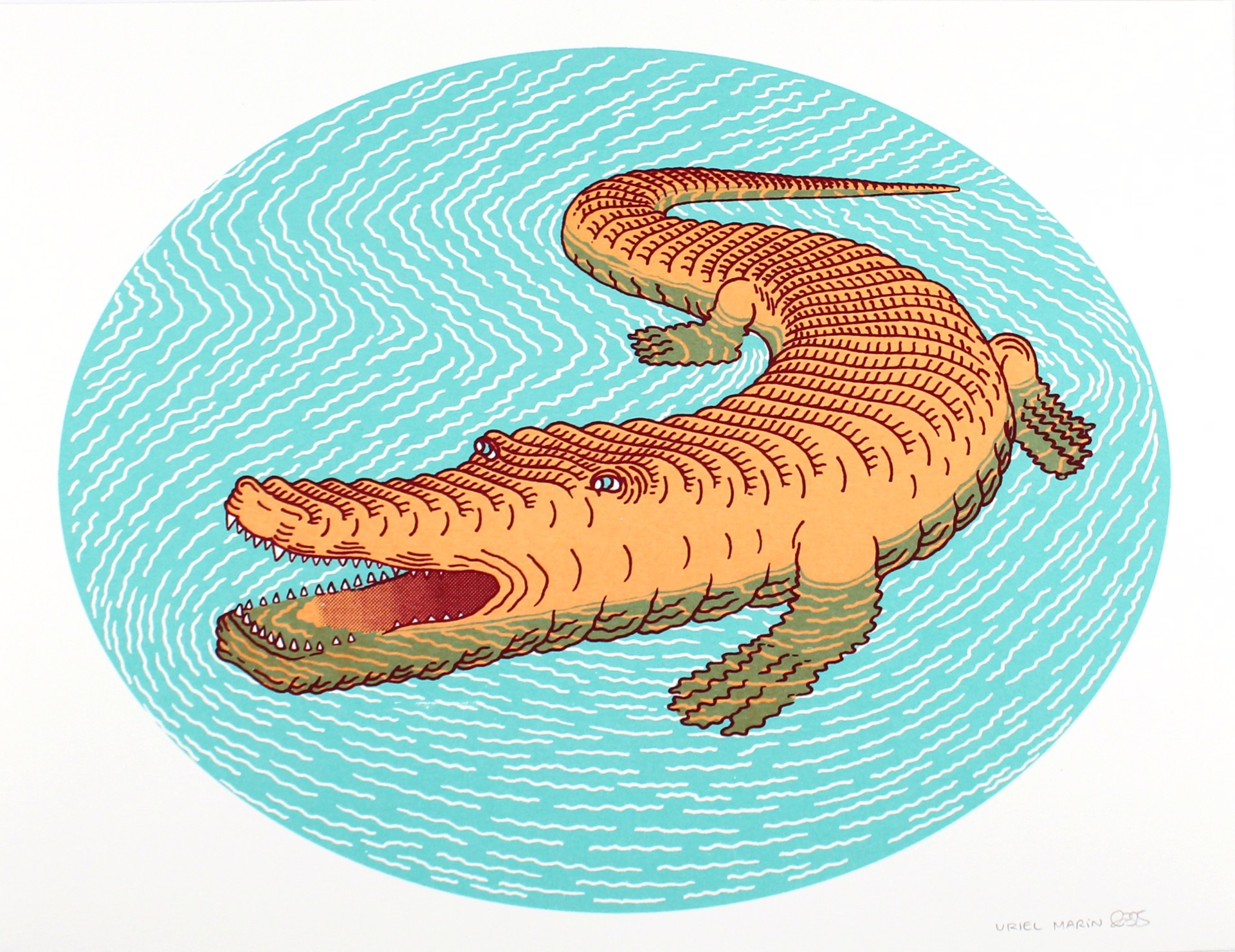 Crocodile by Uriel Marin