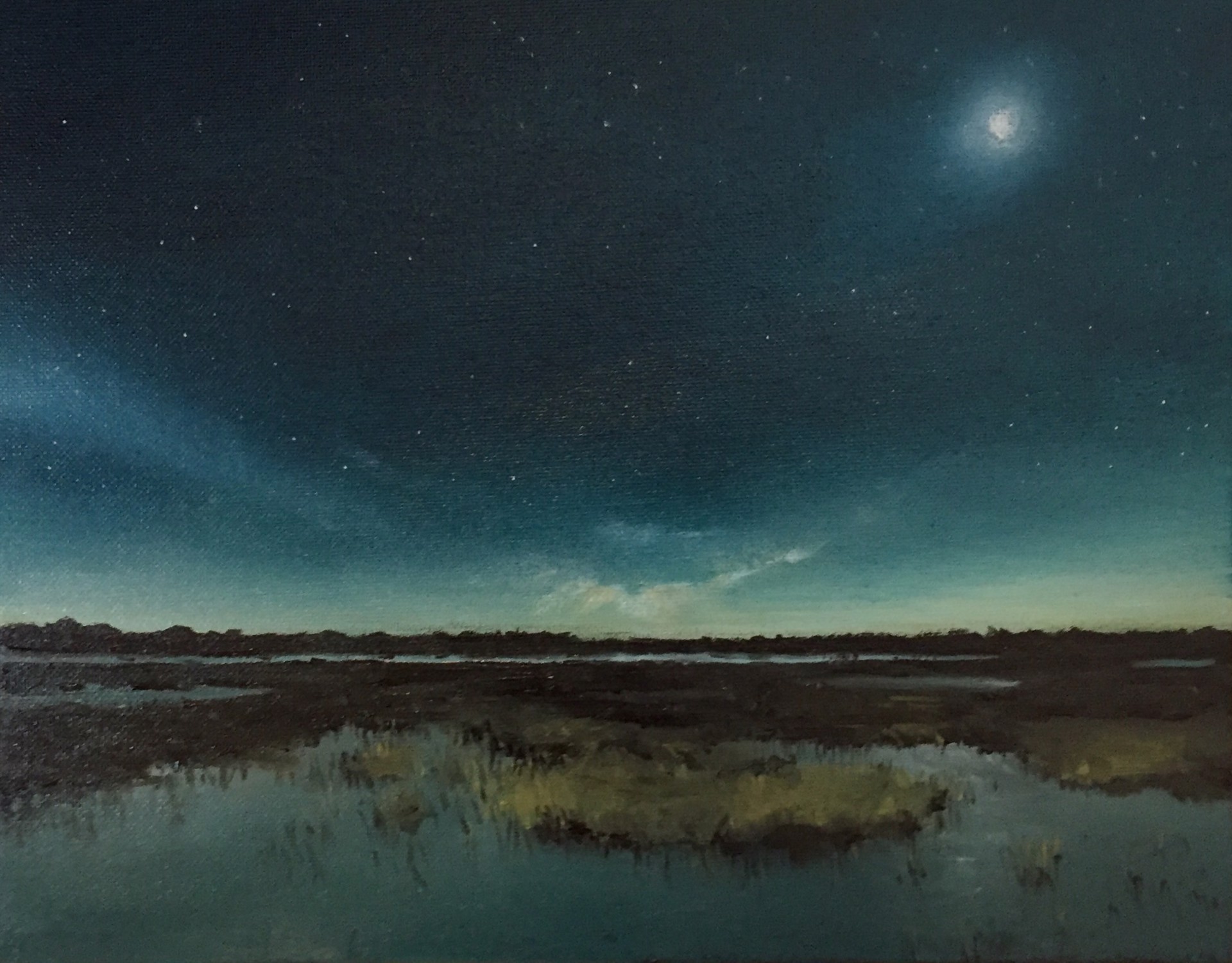 Moonlight Over Marsh by Sean Friloux