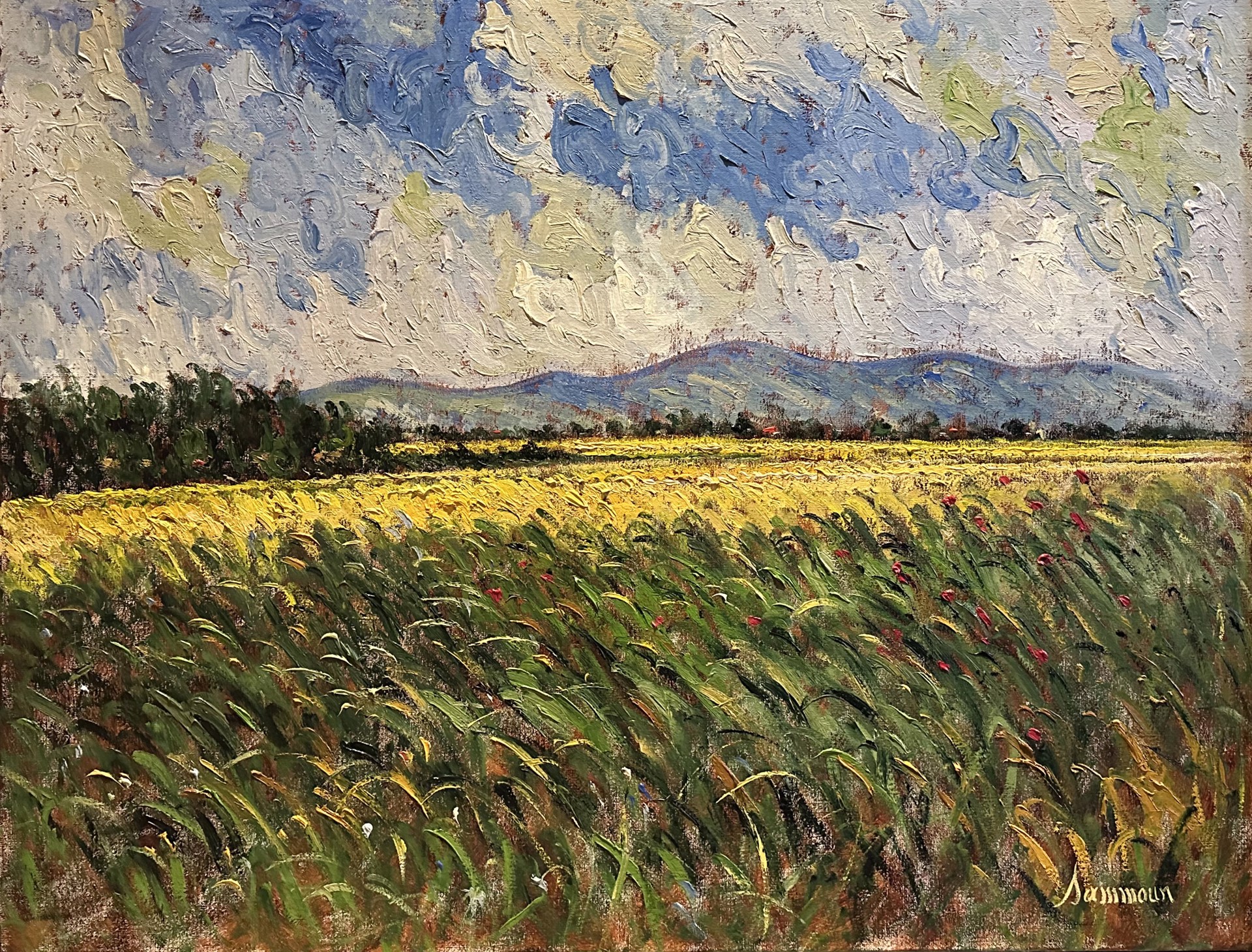 Mustard field, 36x48 by Samir Sammoun