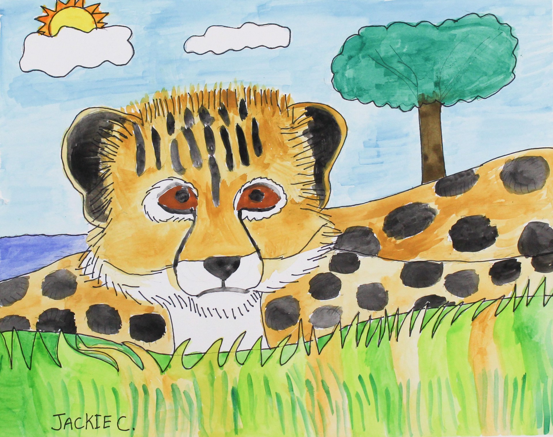 Cheetah Cub by Jacqueline Coleman