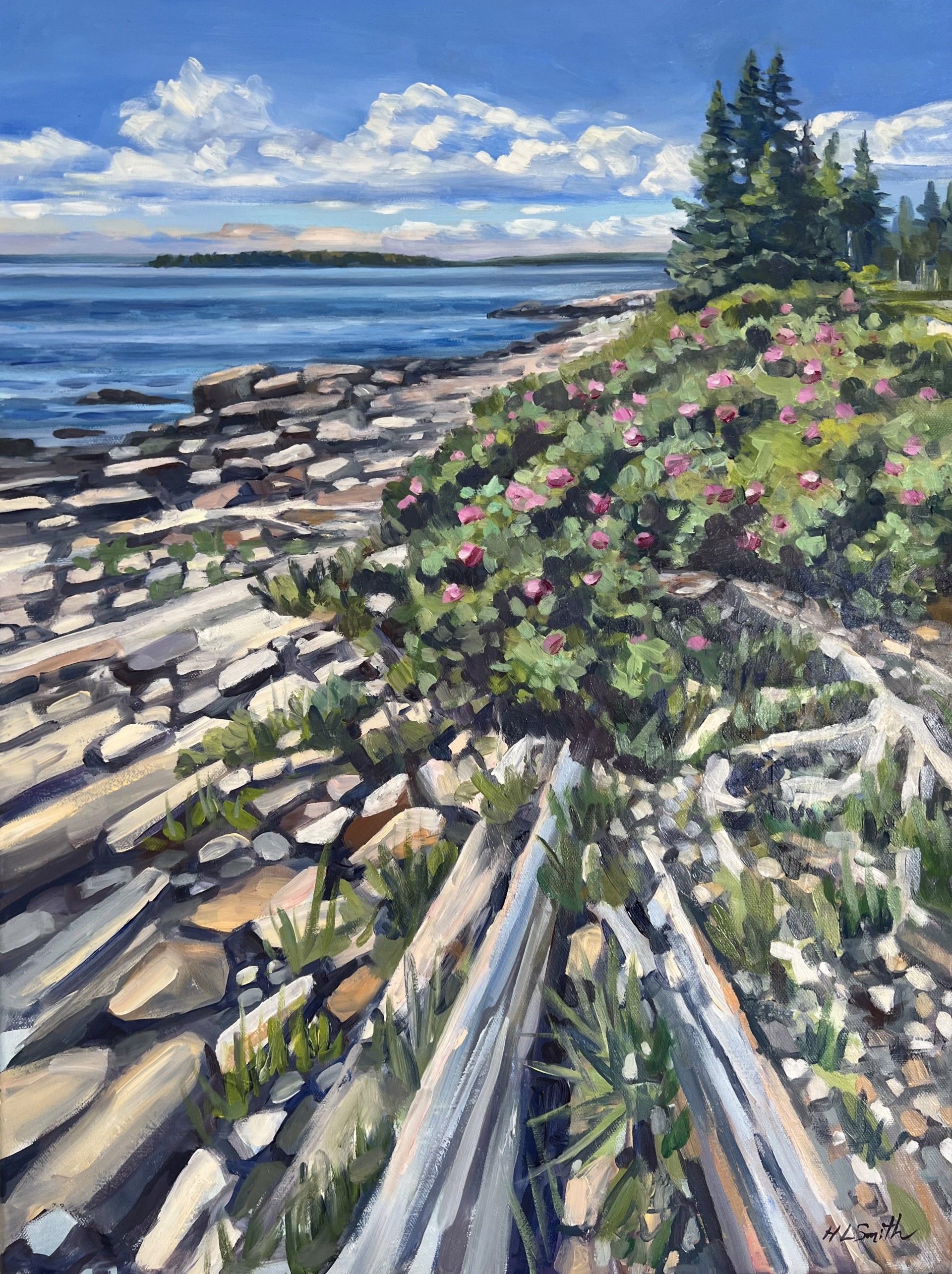 Acadia Sea Roses by Holly L. Smith