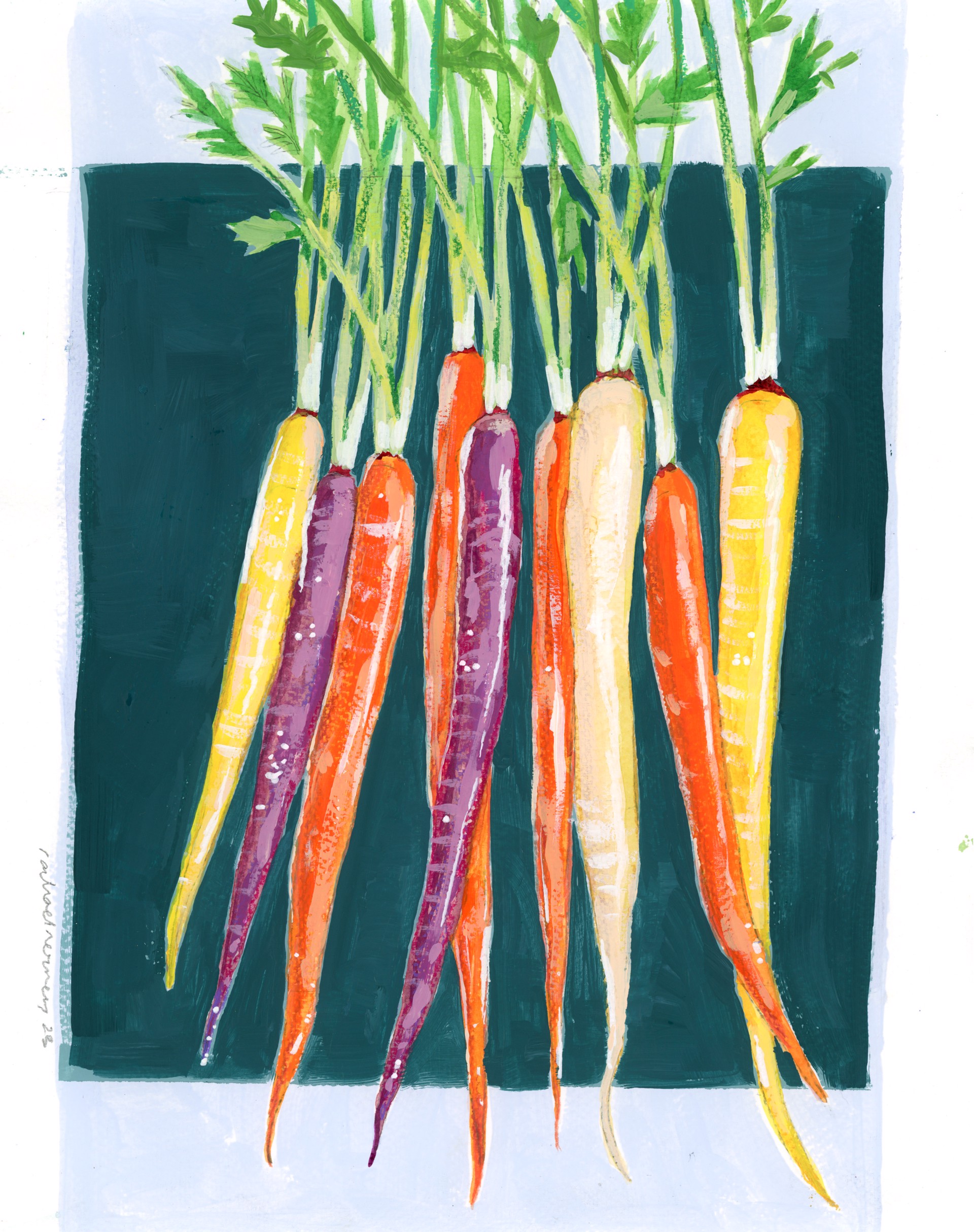 Rainbow Carrots by Rachael Nerney