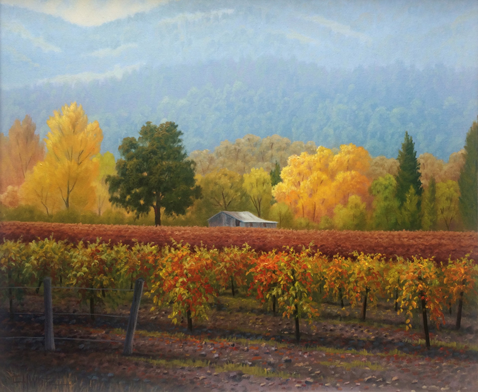 Misty Day Napa Valley by Charles White