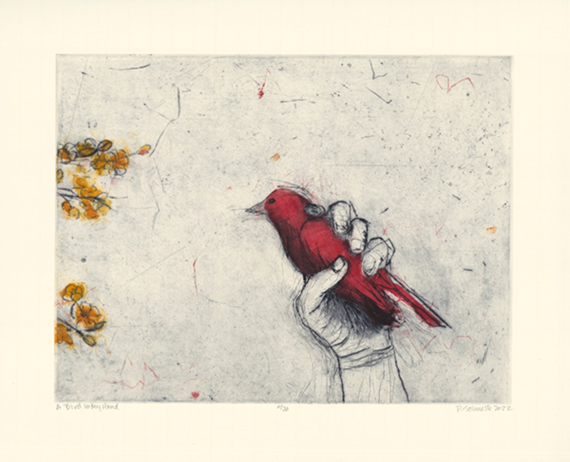 A Bird in my Hand by Paula Schuette Kraemer
