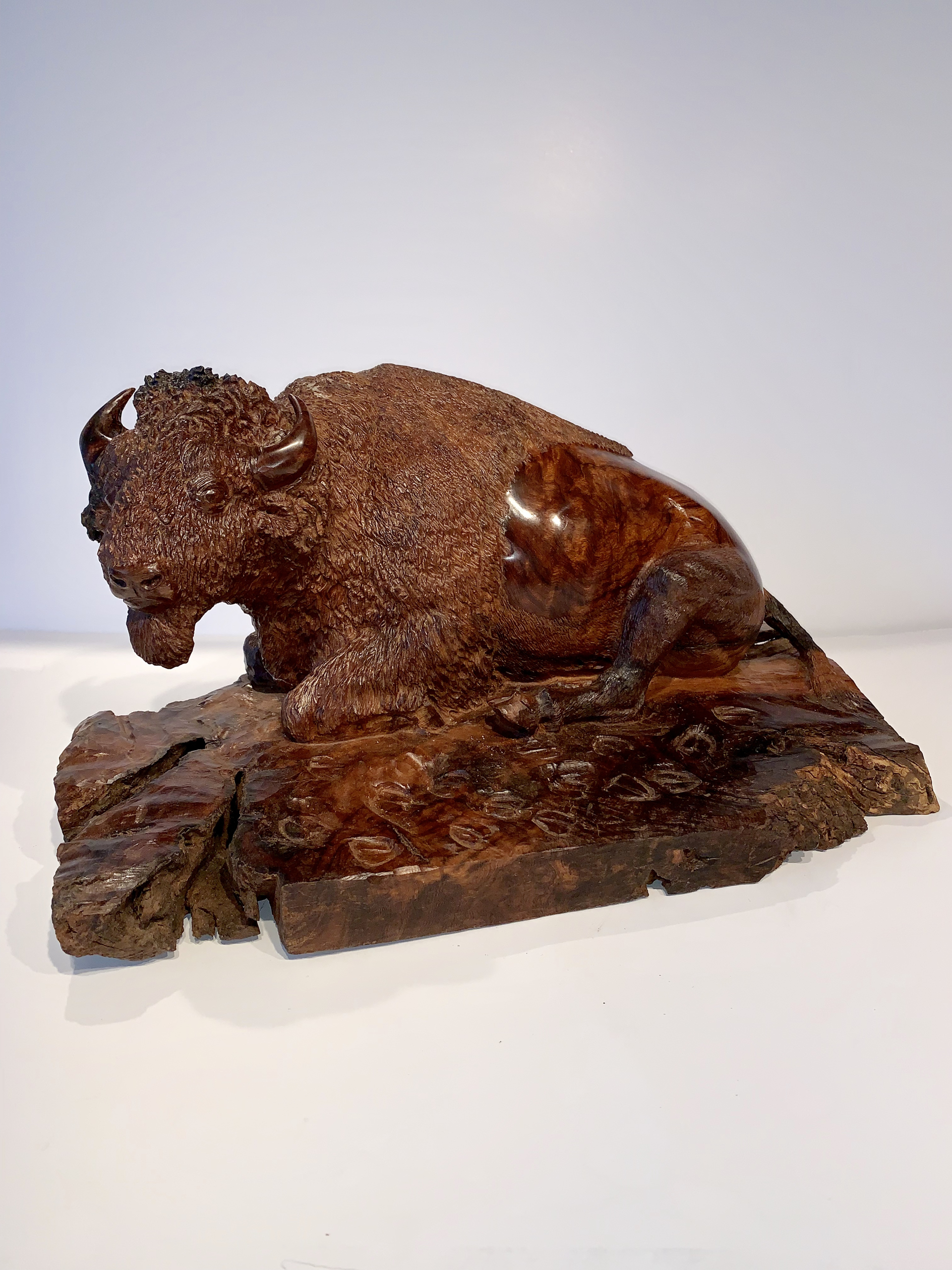 Large Sitting Bison by Thomas Suby