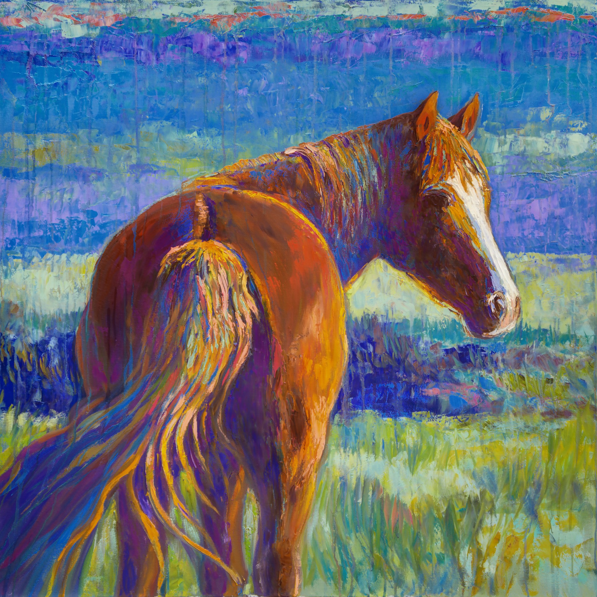 Shadowlands Solitaire ~“This horse is part of a herd of mustangs I was able to photograph last summer. I was struck by her quiet confidence as she looked towards the sunset, with the deepening shadows behind her. “ Meikle by Barbara Meikle