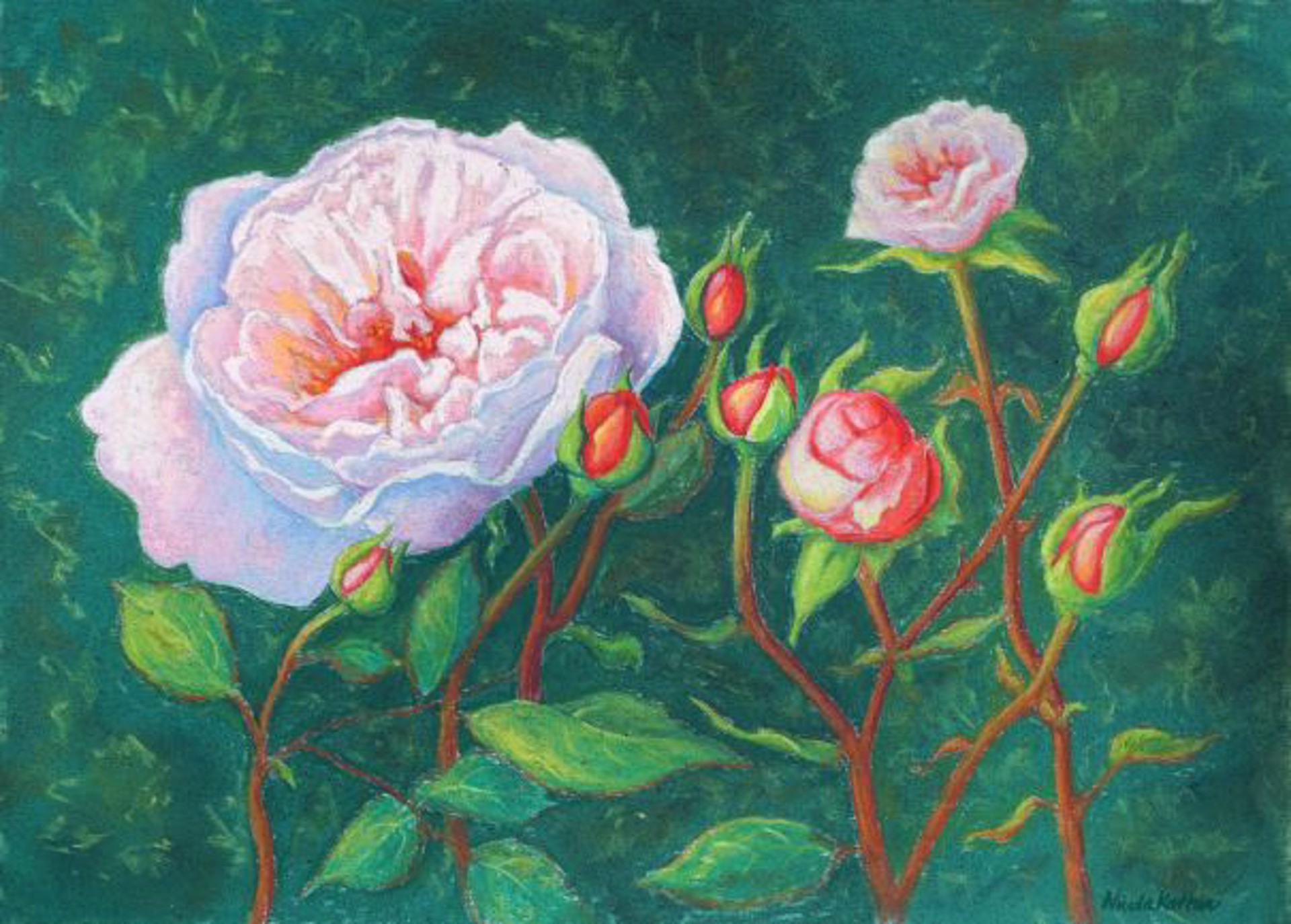 Rose and Rosebuds by Niki Kaftan