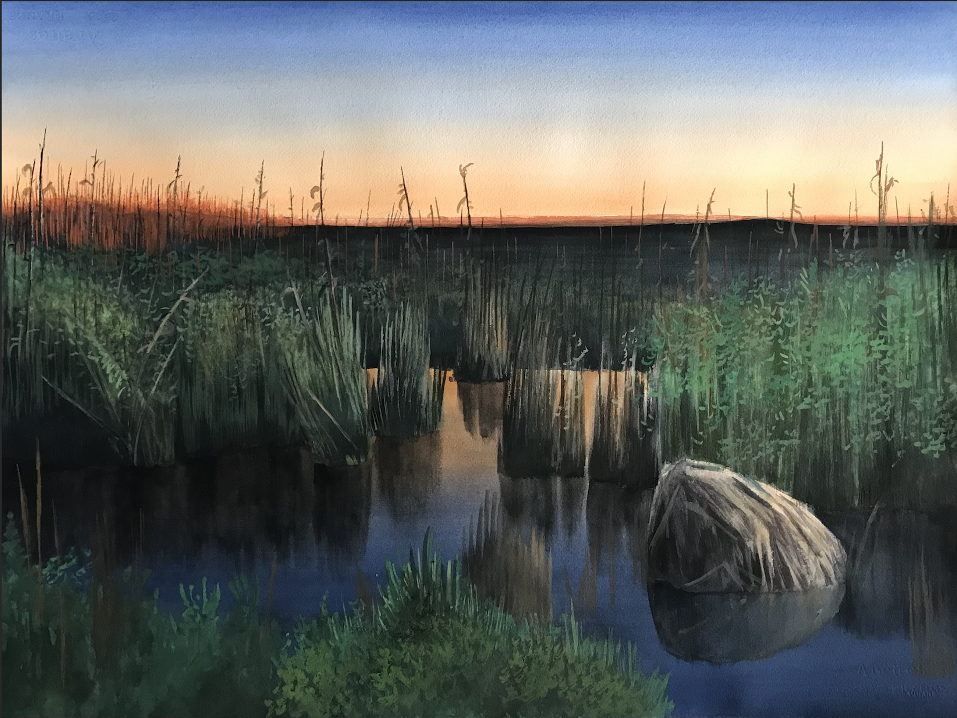 "An Evening in the Marsh, MNWR” by Ken Mazzu