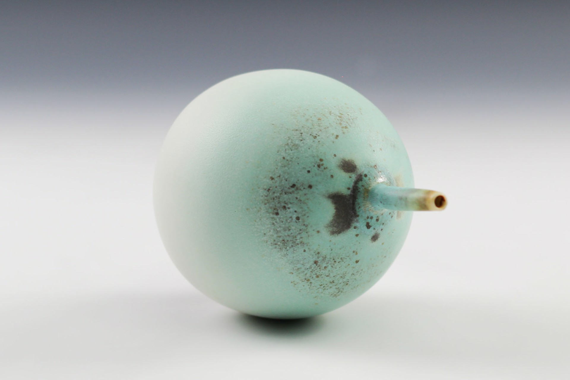 Aqua Bulb by Charlie Olson