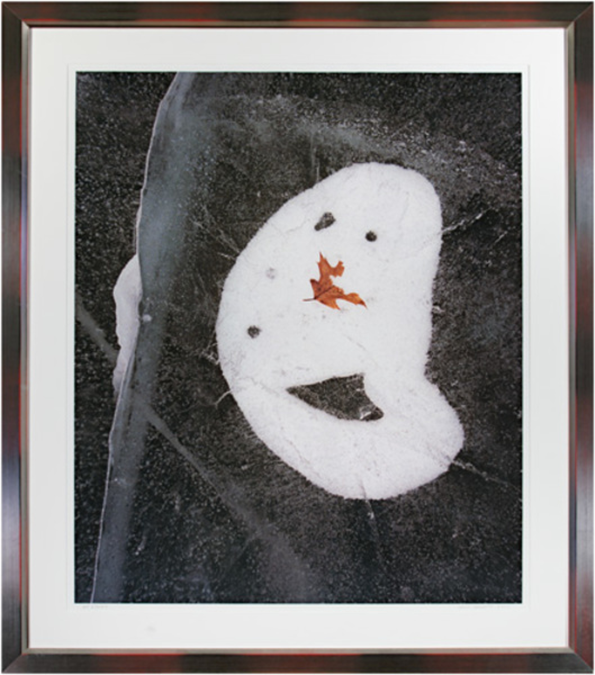 Frozen Faces Series-Do You Be-leaf It? by David Barnett