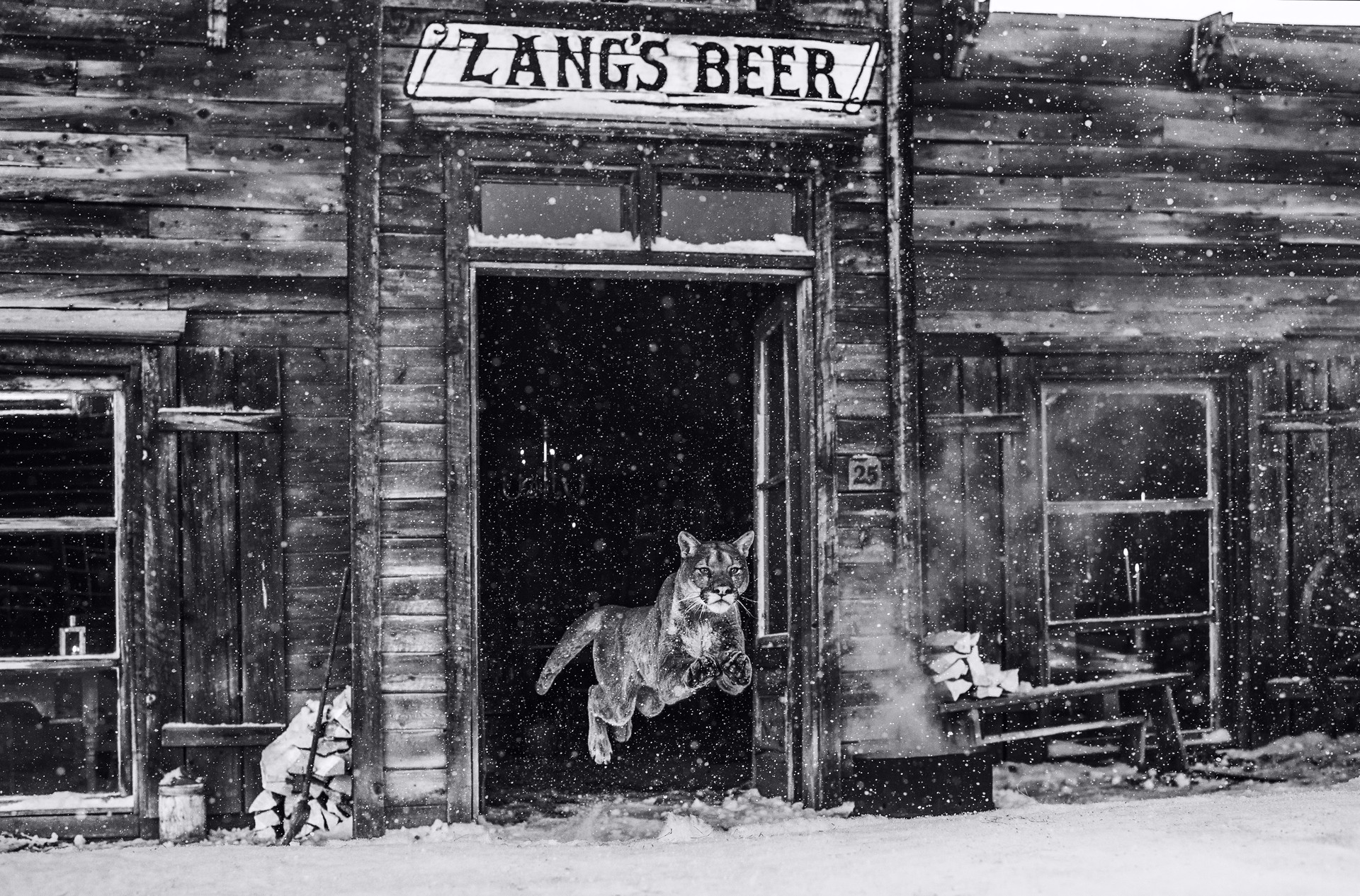 In the Bleak Midwinter by David Yarrow