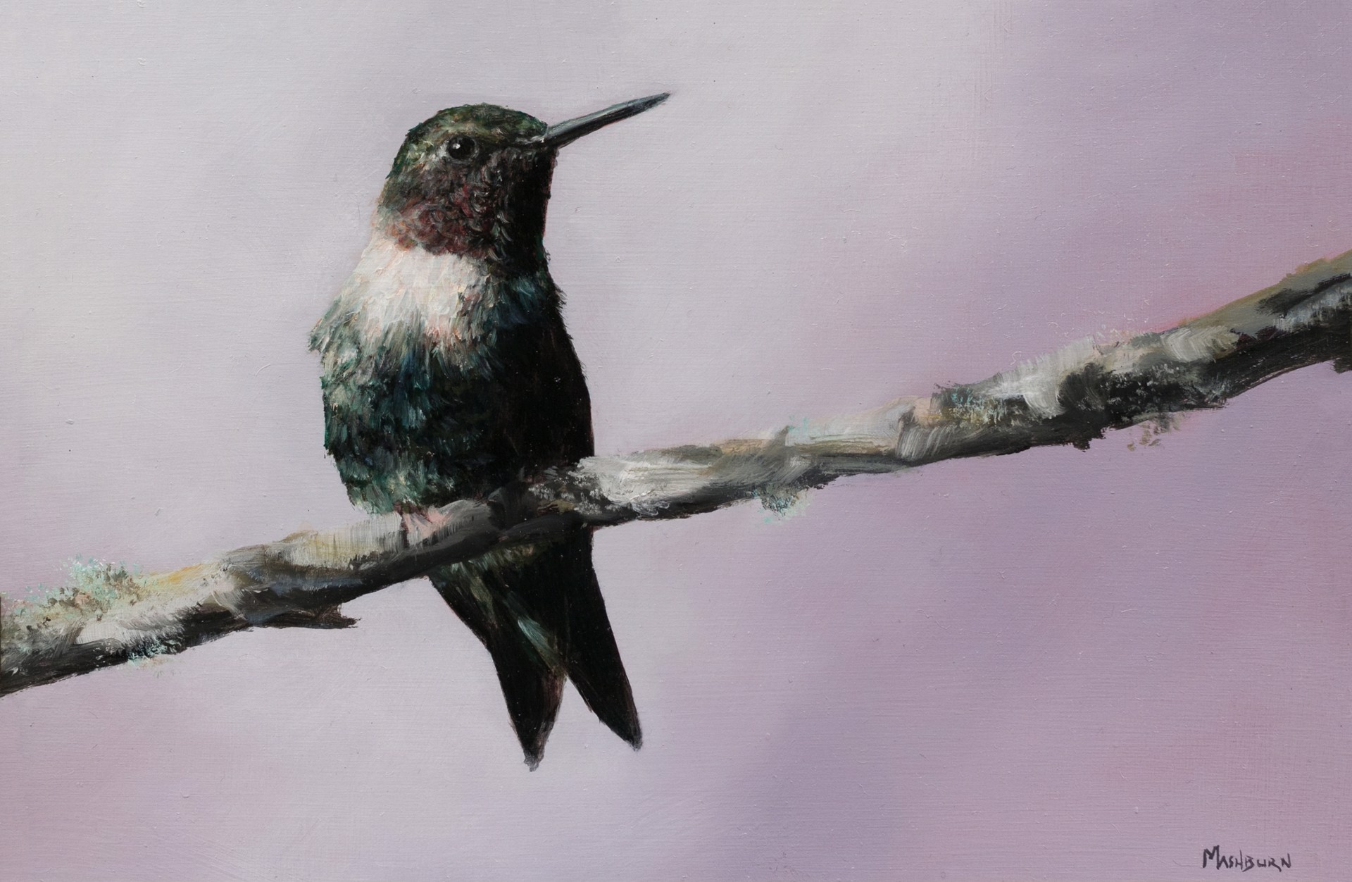 Ruby Throated Hummingbird #1 by Brian Mashburn
