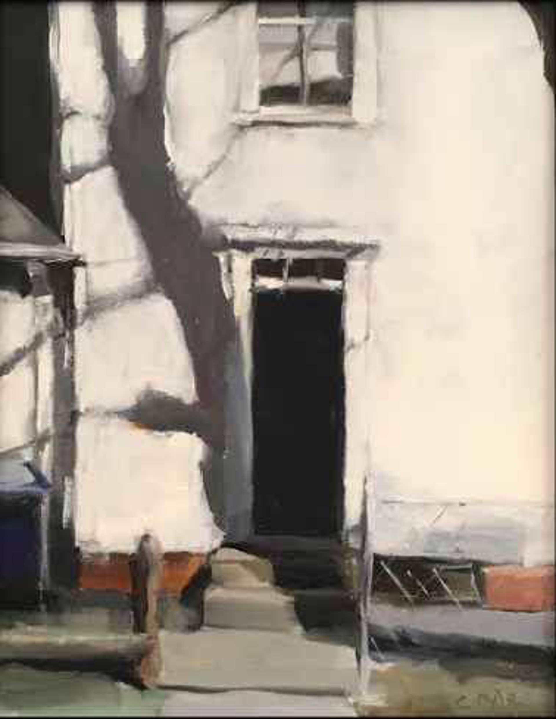 The Back Door by Stephen Coyle