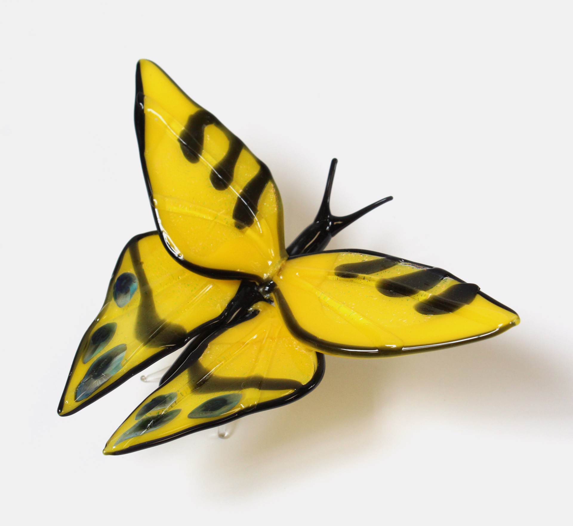 Swallowtail Butterfly by Loy Allen