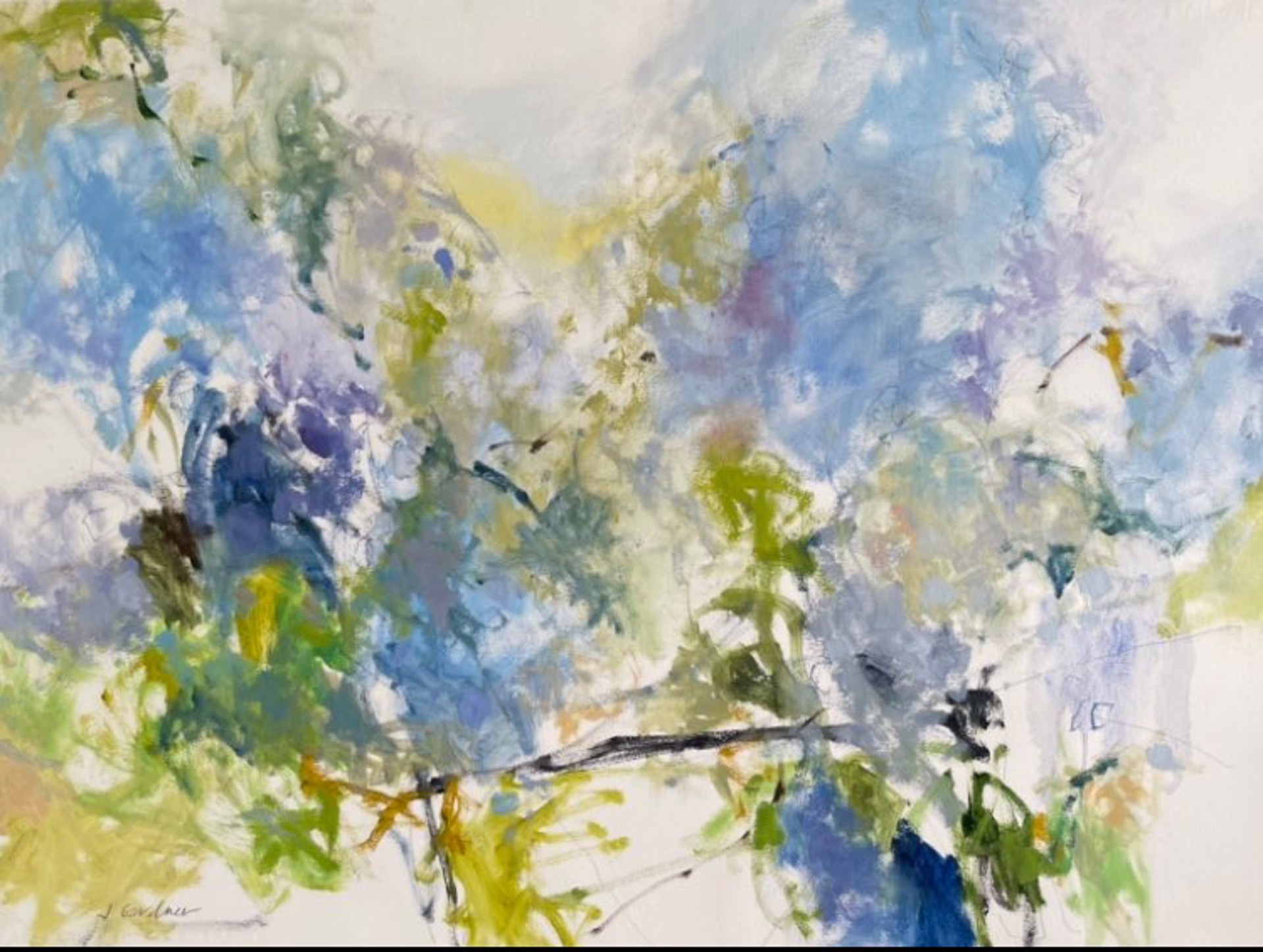 Hydrangea Blooms (Framed) by Joy Gardner